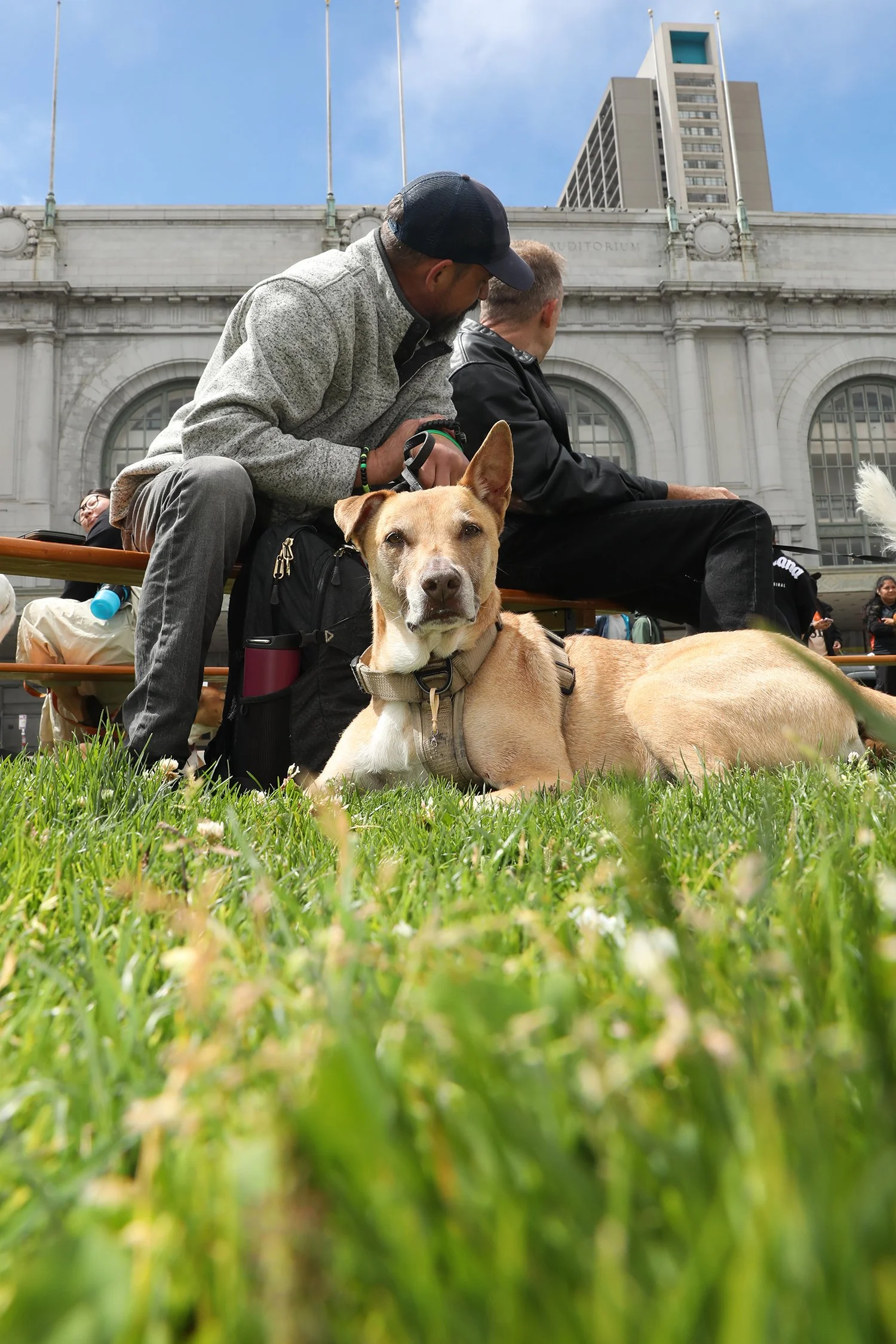 071126SFCivicCenter_045.jpg