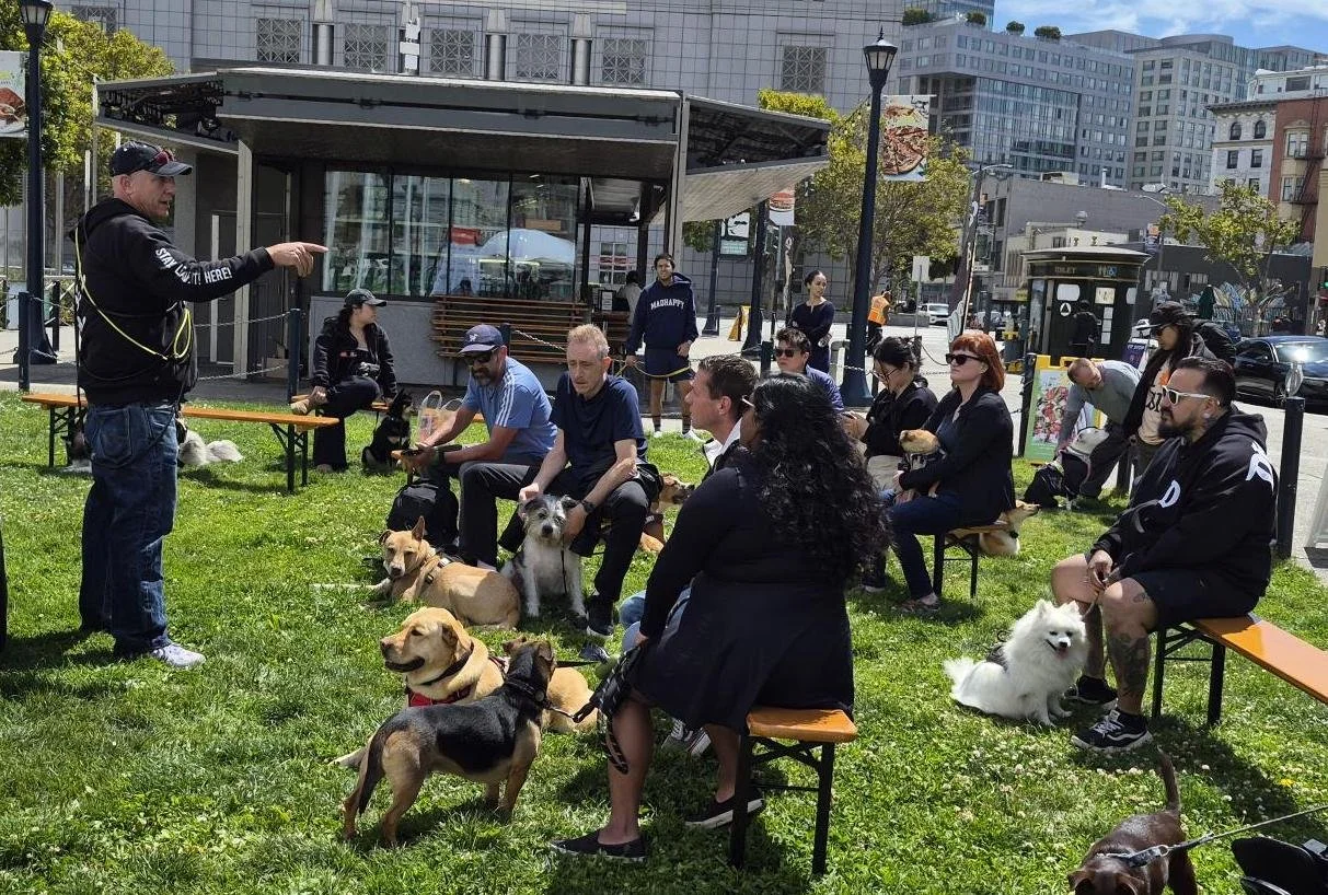 Civic Pups Class 1.jpg