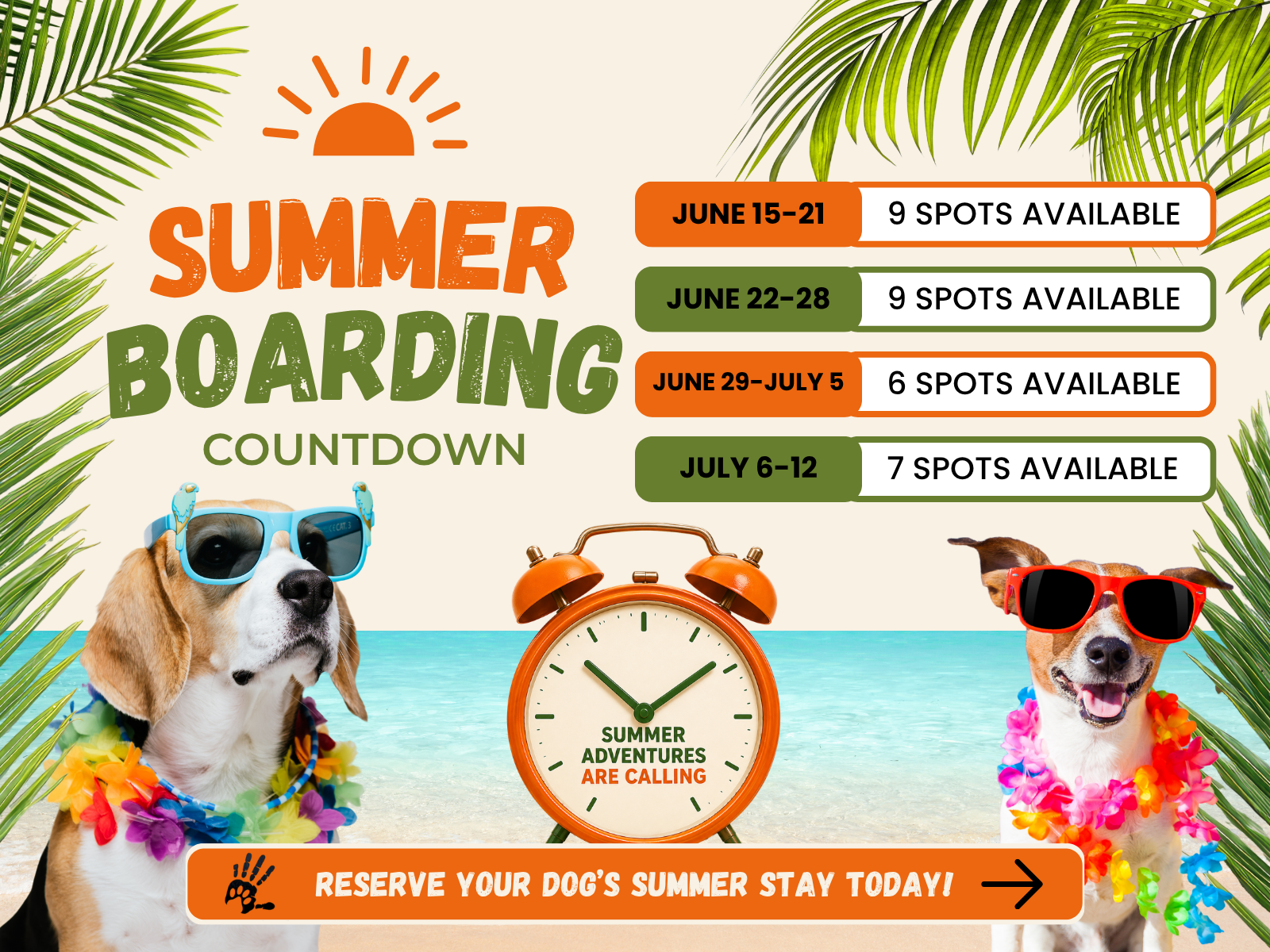 Summer themed dog boarding schedule with images of two dogs wearing sunglasses and leis on a beach background, a clock reading 'Summer Adventures Are Calling', and a call-to-action button to reserve a dog's summer stay.