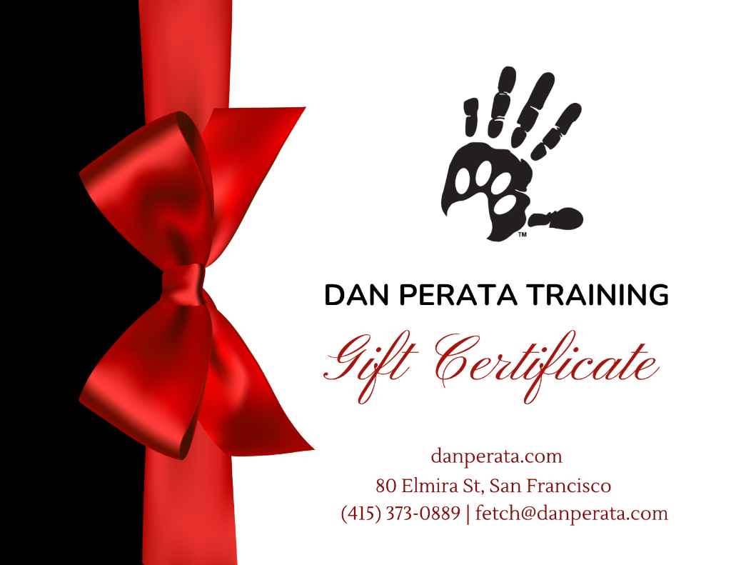 Gift certificate for Dan Perata Training with a red bow on the left, black and white logo of a handprint, and contact information in red text.
