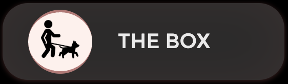 Logo with a person walking a dog inside a circle, next to the words 'THE BOX'