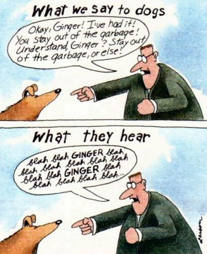 A comic strip with two panels showing a man speaking to a dog. In the first panel, the man is telling the dog to stay out of the garbage and understand, Ginger, or else. In the second panel, the dog hears the man, and the man is pointing at the dog, while the dog is thinking in speech bubbles that say 'blah blah' repeatedly, indicating the dog hears only a jumble of sounds.