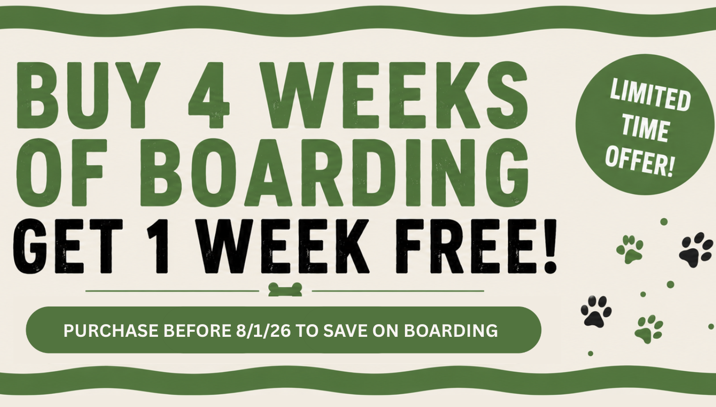 Banner advertisement for boarding services, offering 4 weeks of boarding and a free additional week with a limited-time purchase by August 1, 2026. The design features green, black, and white colors, paw prints, and a bone icon.