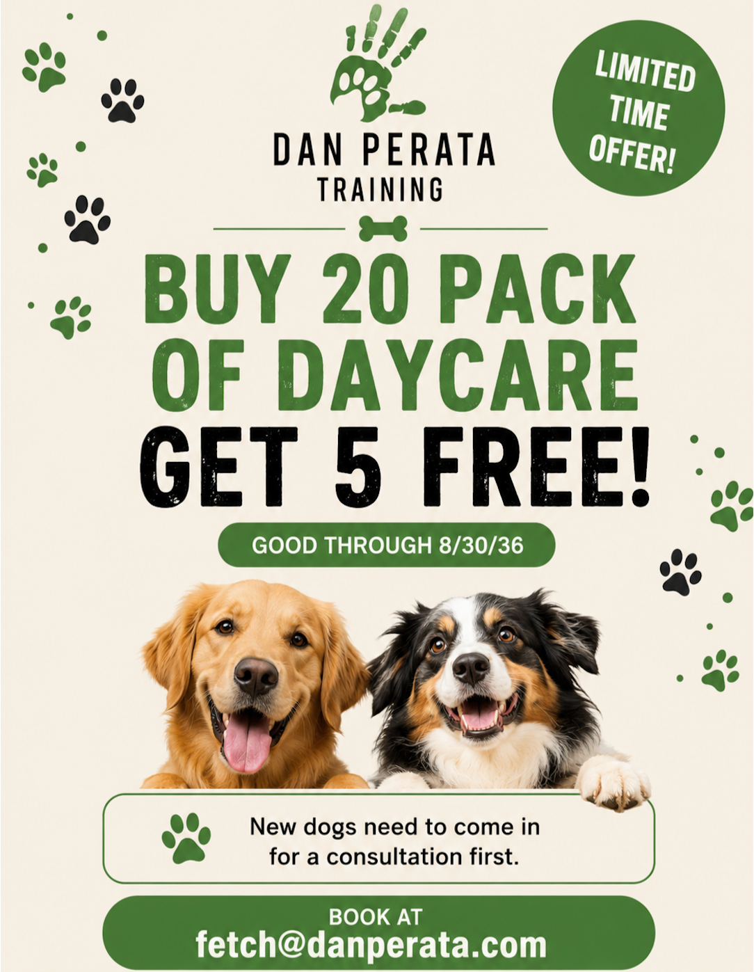 Flyer for Dan Perata Training promoting a special offer on daycare packs for dogs, with a buy 20 get 5 free deal, valid through August 30, 2036, featuring images of two happy dogs and contact information for booking.