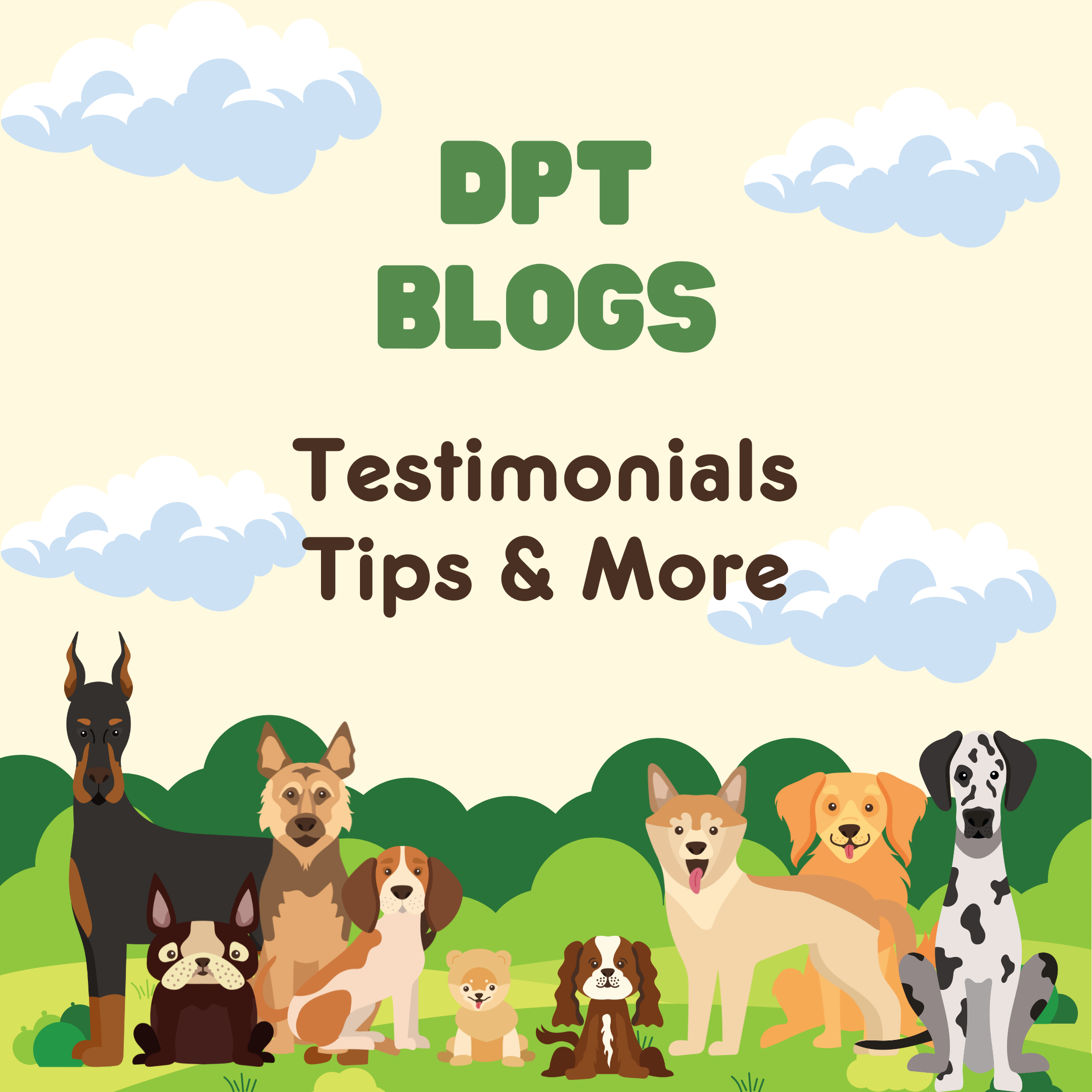A colorful illustration of various dog breeds standing on green grass with clouds in the sky, accompanied by text that reads 'DPT BLOGS Tips & More'.