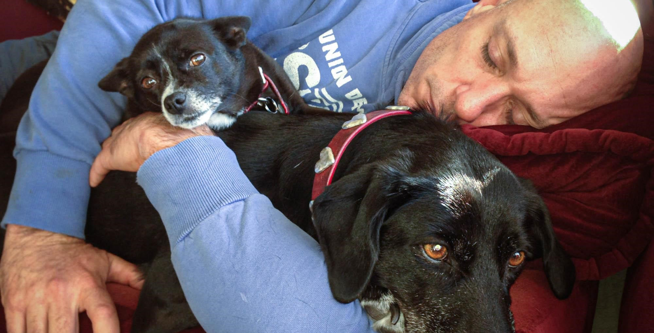 An elderly man sleeping with two black dogs, one small and one large, on a red couch.