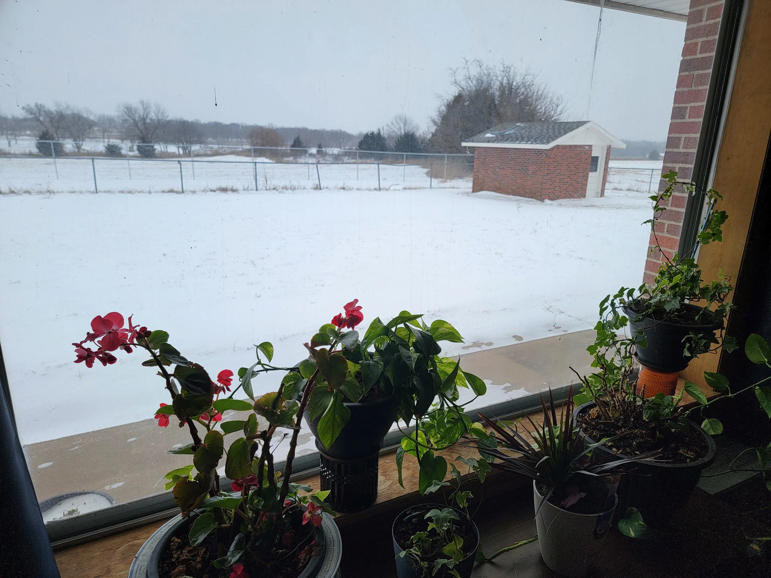 20260124_090612.jpg