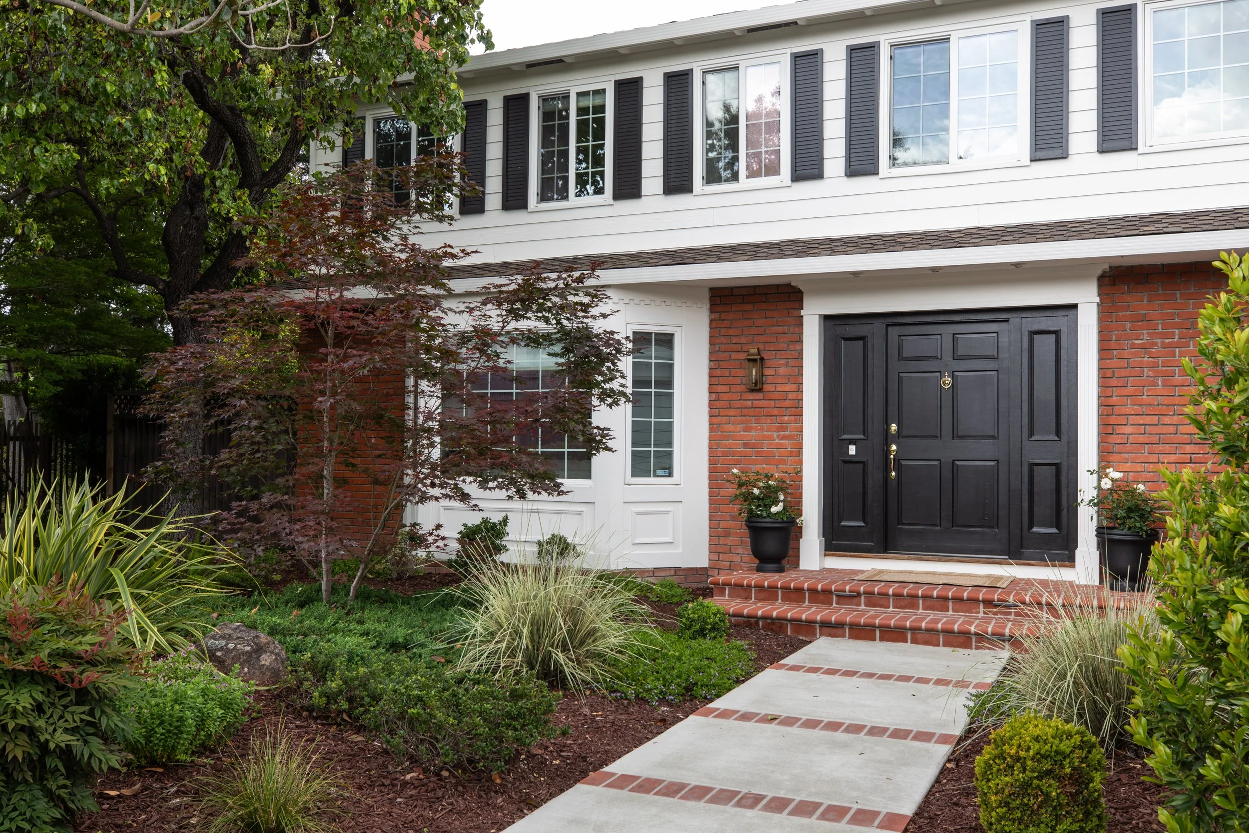 Front yard view of a house with a brick and white exterior, black front door, and multiple windows surrounded by landscaped garden with various plants and small trees.