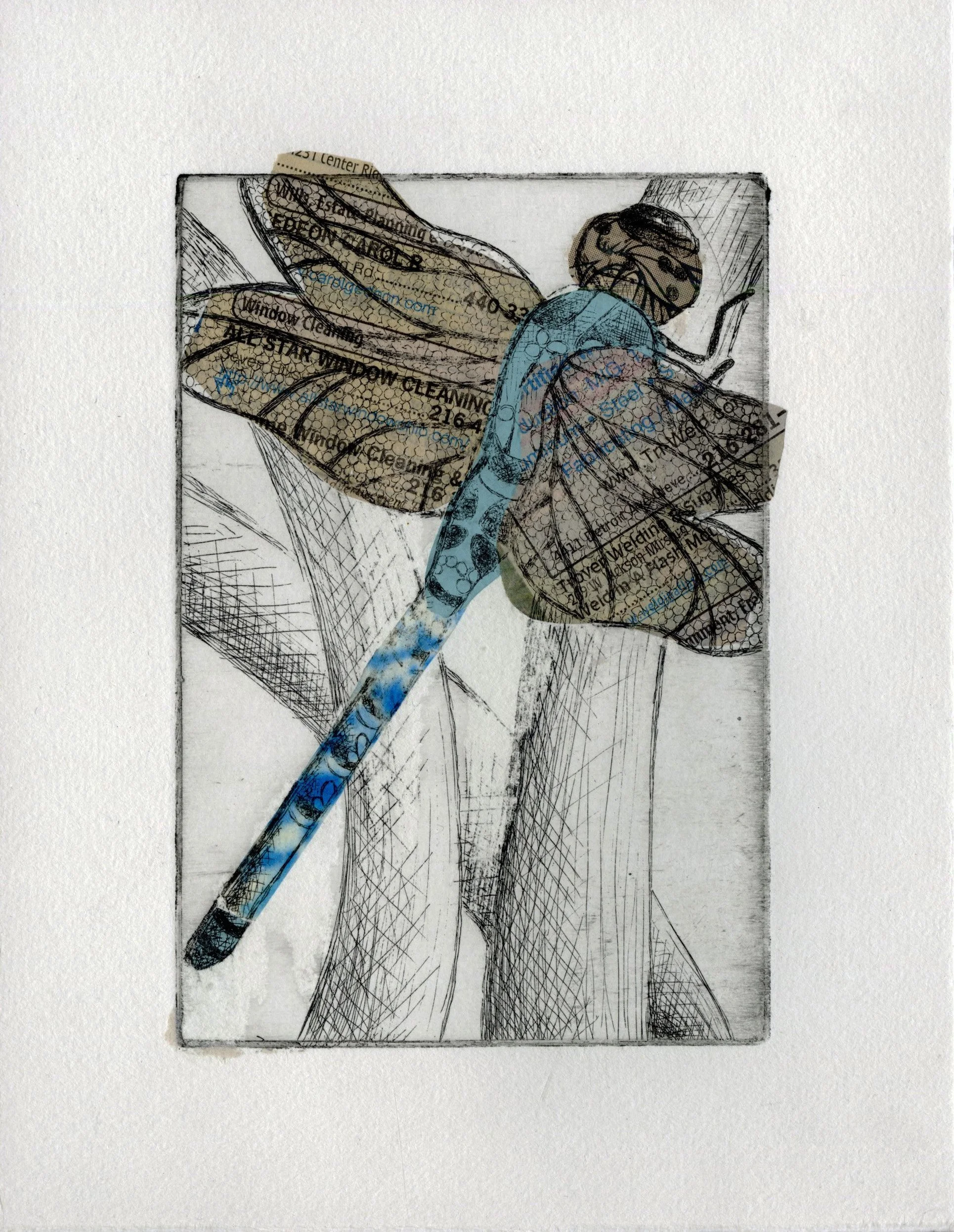 Dragonfly
copper intaglio print with colle on paper
8.5” x 6.5”
2023
