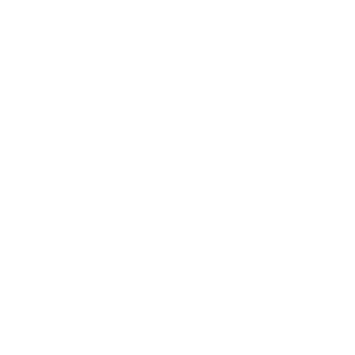 document icon