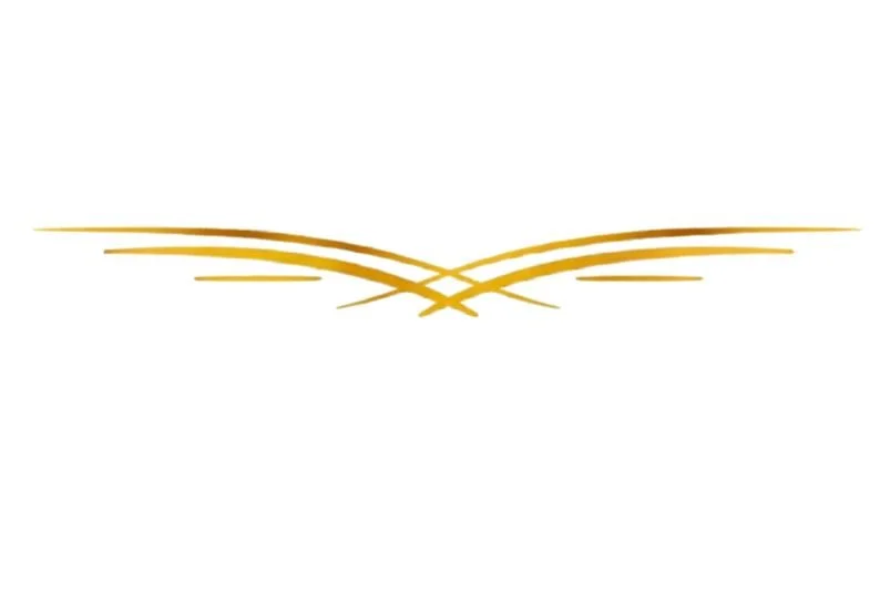 Gold decorative lines on a white background.
