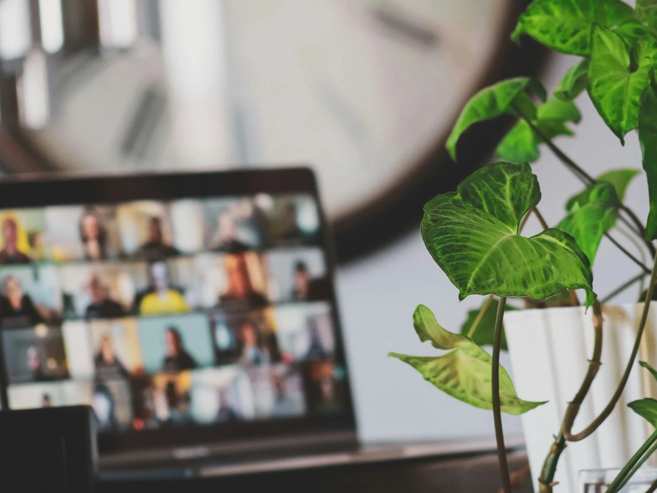 A blurred computer screen showing a video call with multiple participants next to a green leafy plant.