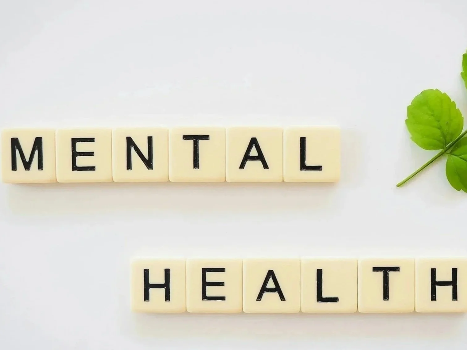 Scrabble tiles spelling 'MENTAL' and 'HEALTH' on a white background with a green leaf to the right