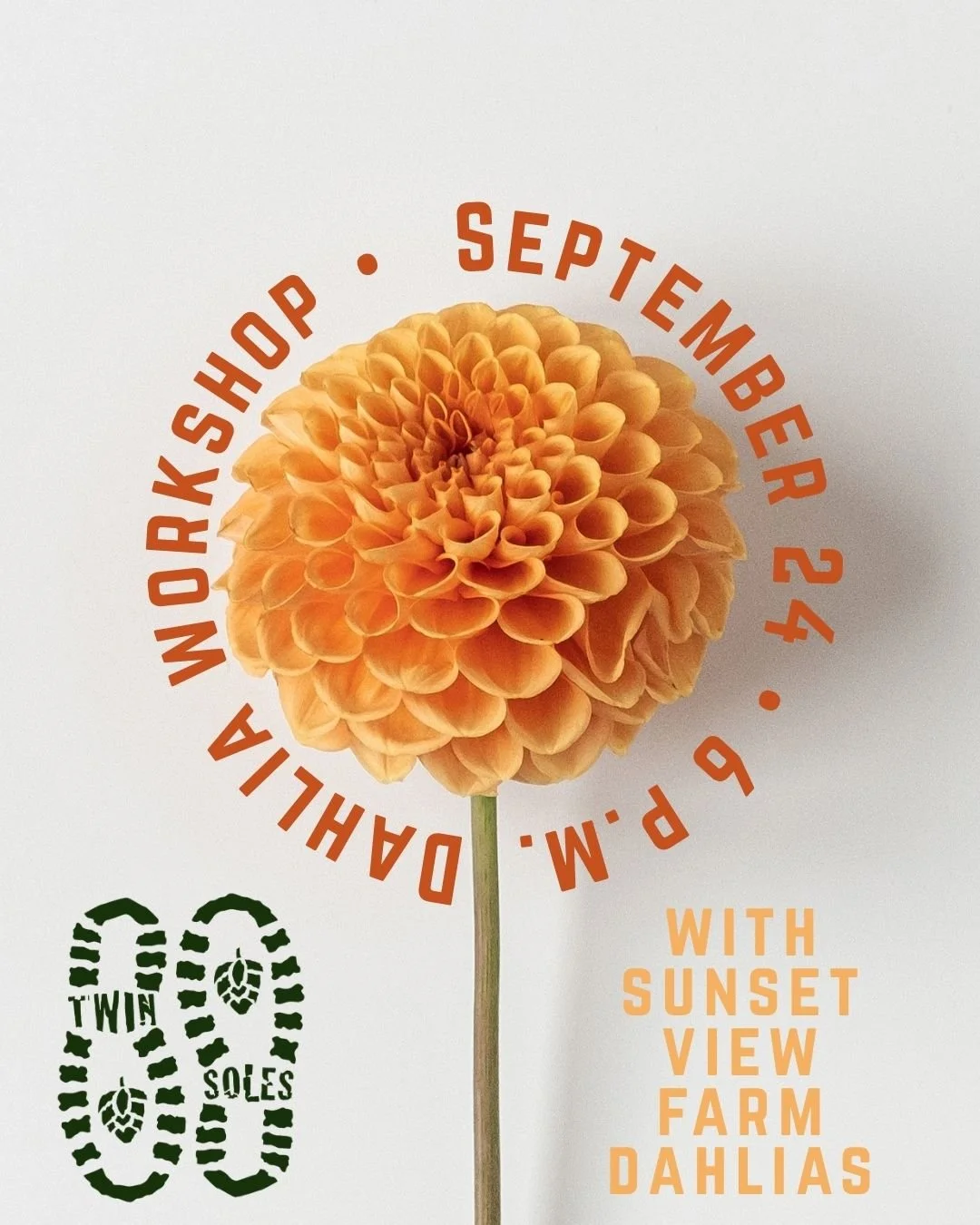 Dahlia Workshop