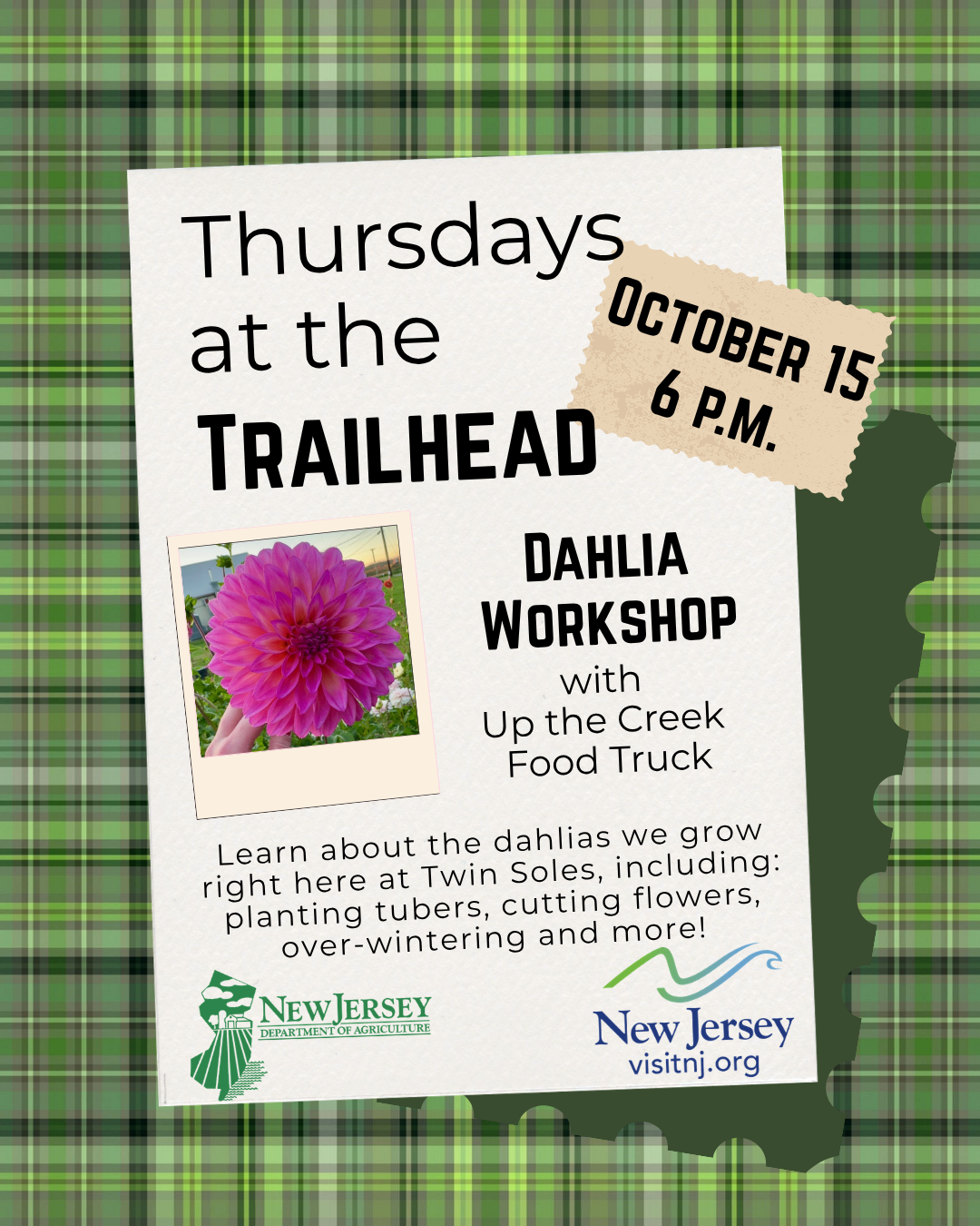 Dahlia Workshop