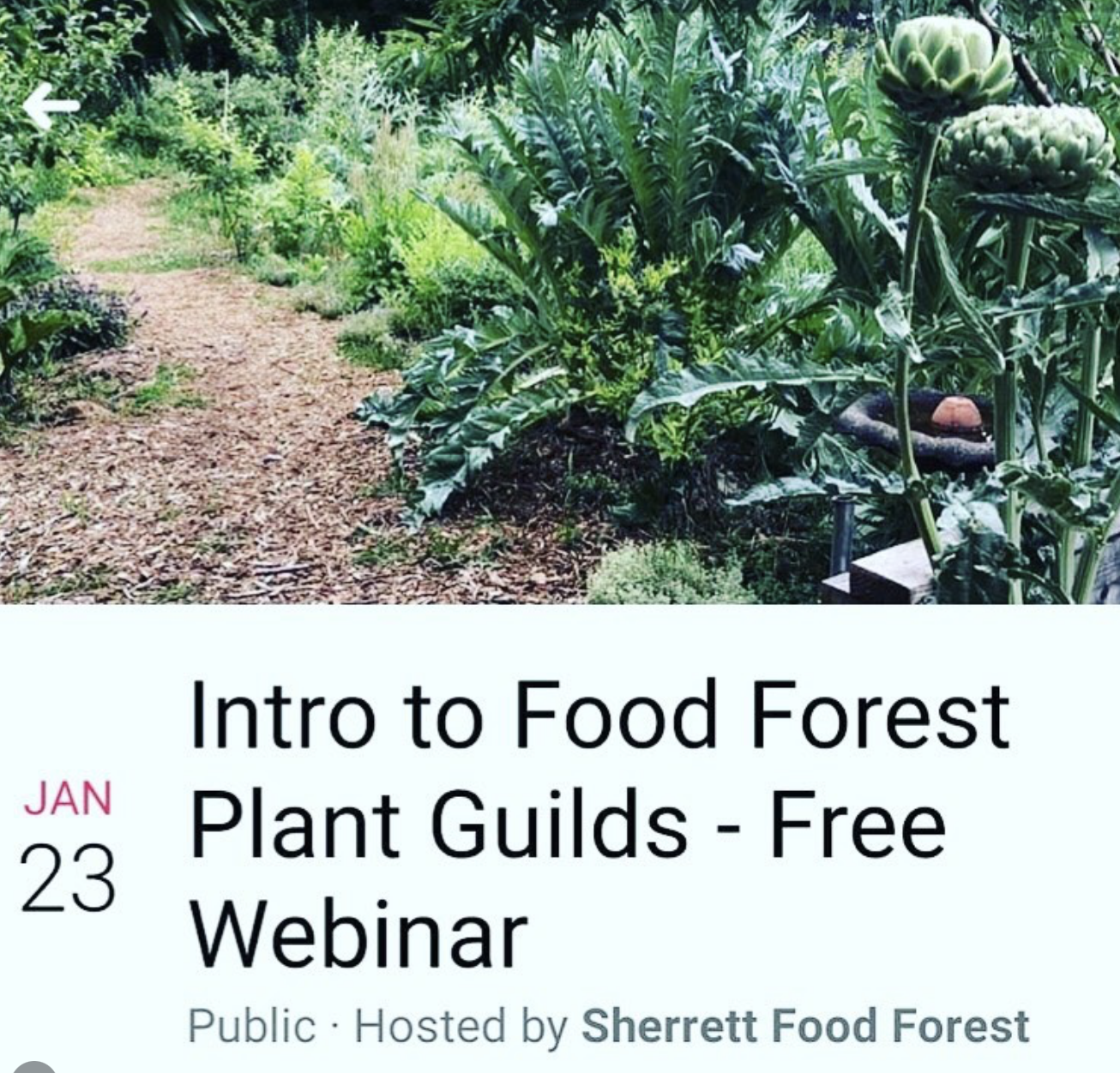 Intro to Food Forest Plant Guilds - Free Webinar 