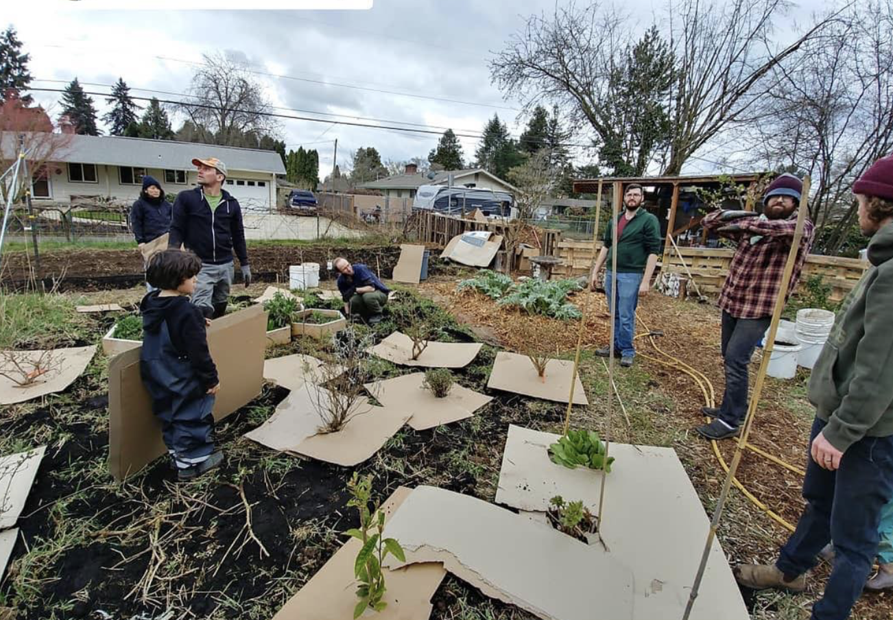 Group of people working together in a community garden, with cardboard used as insulation around plants and some people holding garden tools on a cloudy day.