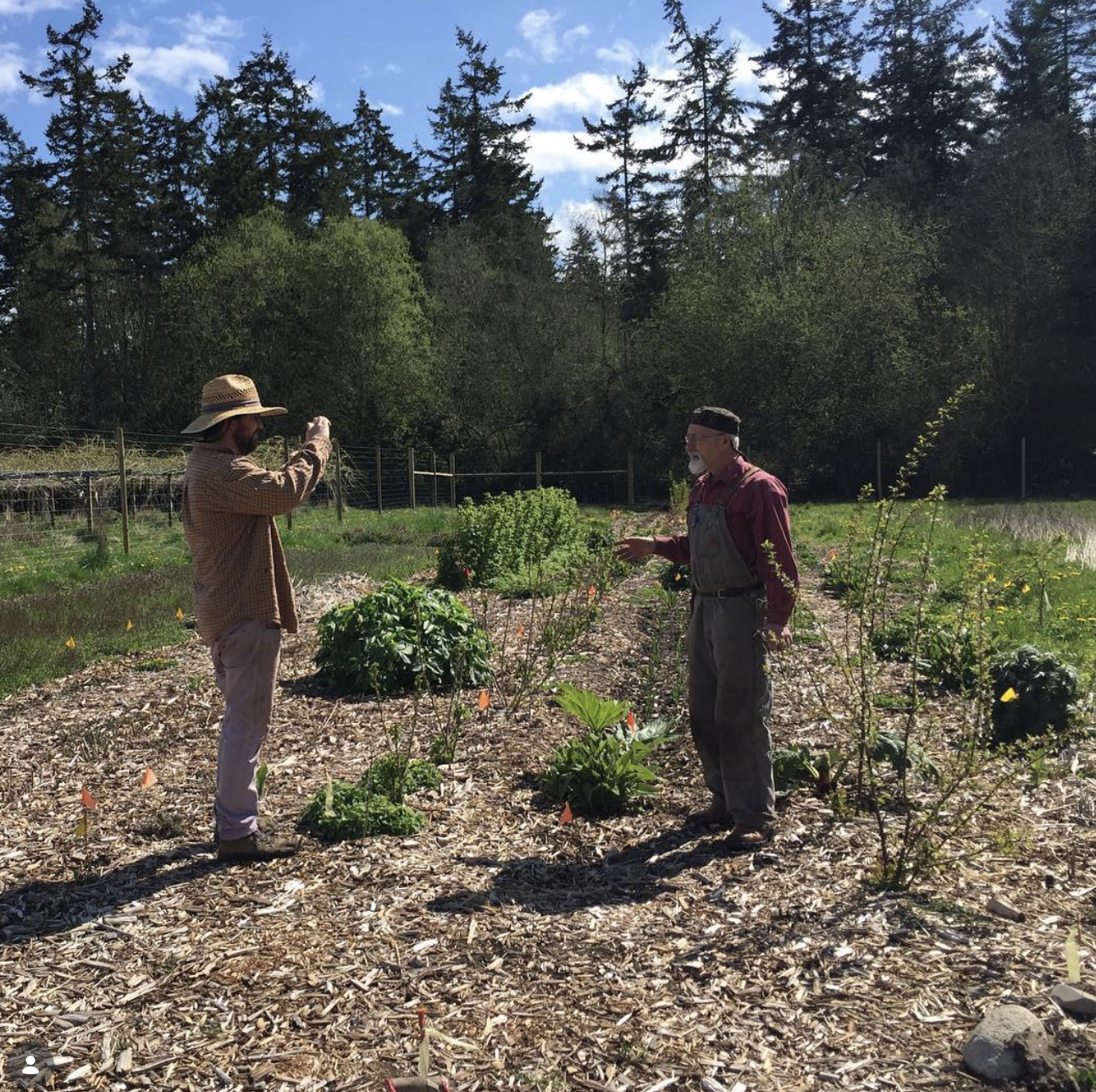 Two men in a garden discussing plants, surrounded by young plants and trees, with a background of tall trees and a partly cloudy sky.