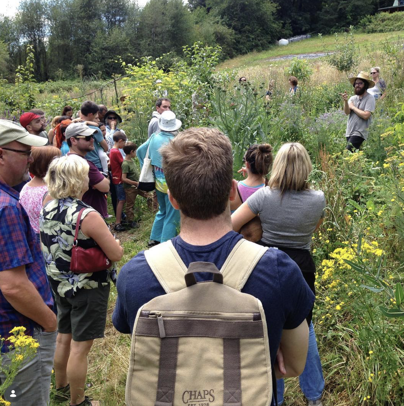 A group of people on a guided outdoor nature tour in a field with tall grass and wildflowers.