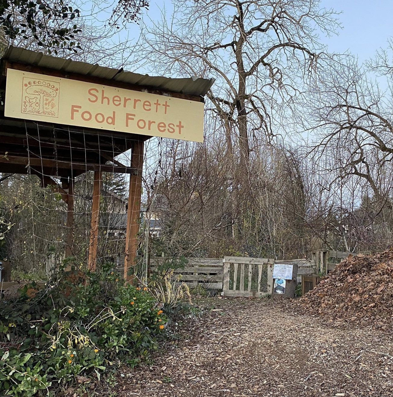 Entrance to Sherrett Food Forest with a sign, surrounded by leafless trees and bushes, a dirt path, and a wooden gate.
