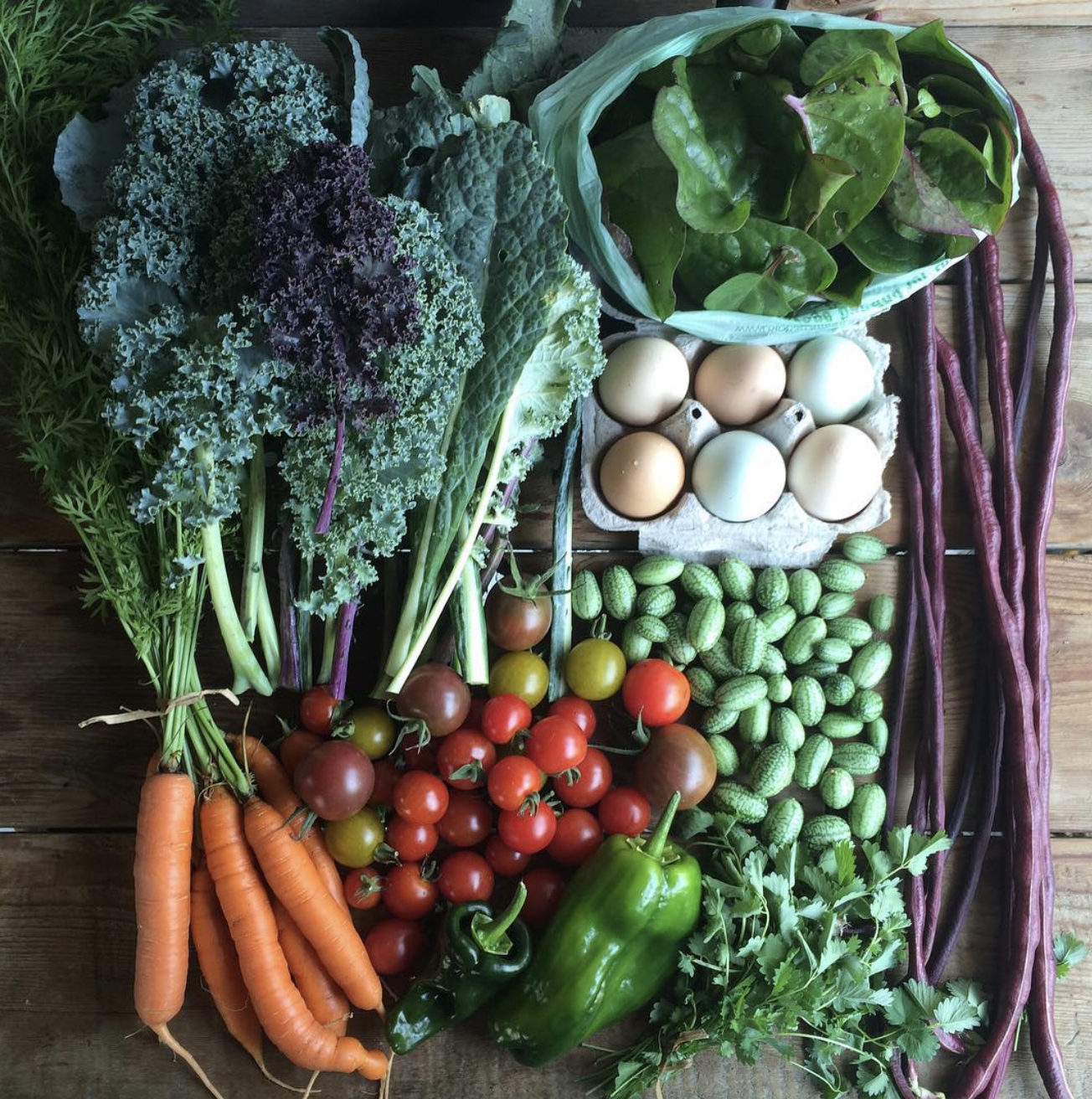 Fresh vegetables including carrots, kale, tomatoes, green peppers, cucumbers, eggs, and other leafy greens displayed on a wooden surface.