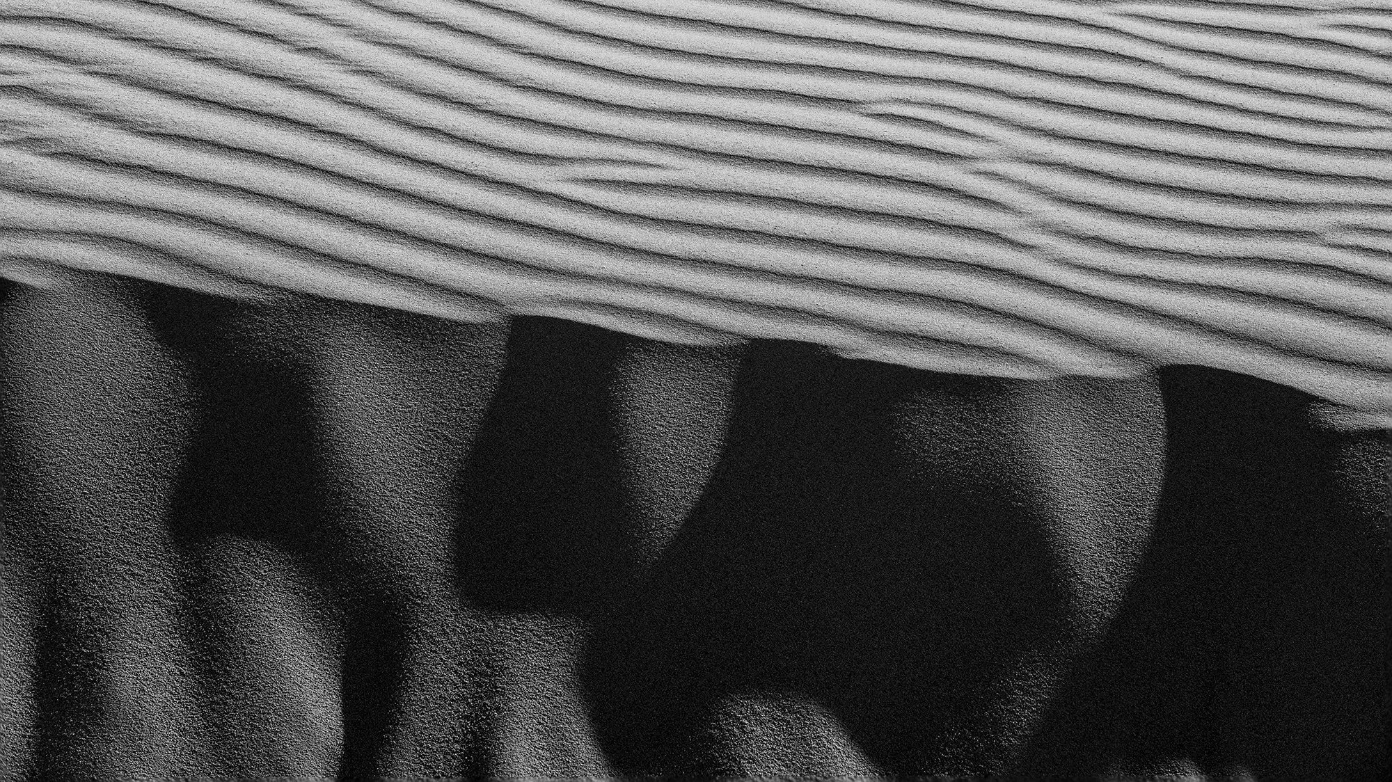 D85_2915-Edit copylr.jpg
