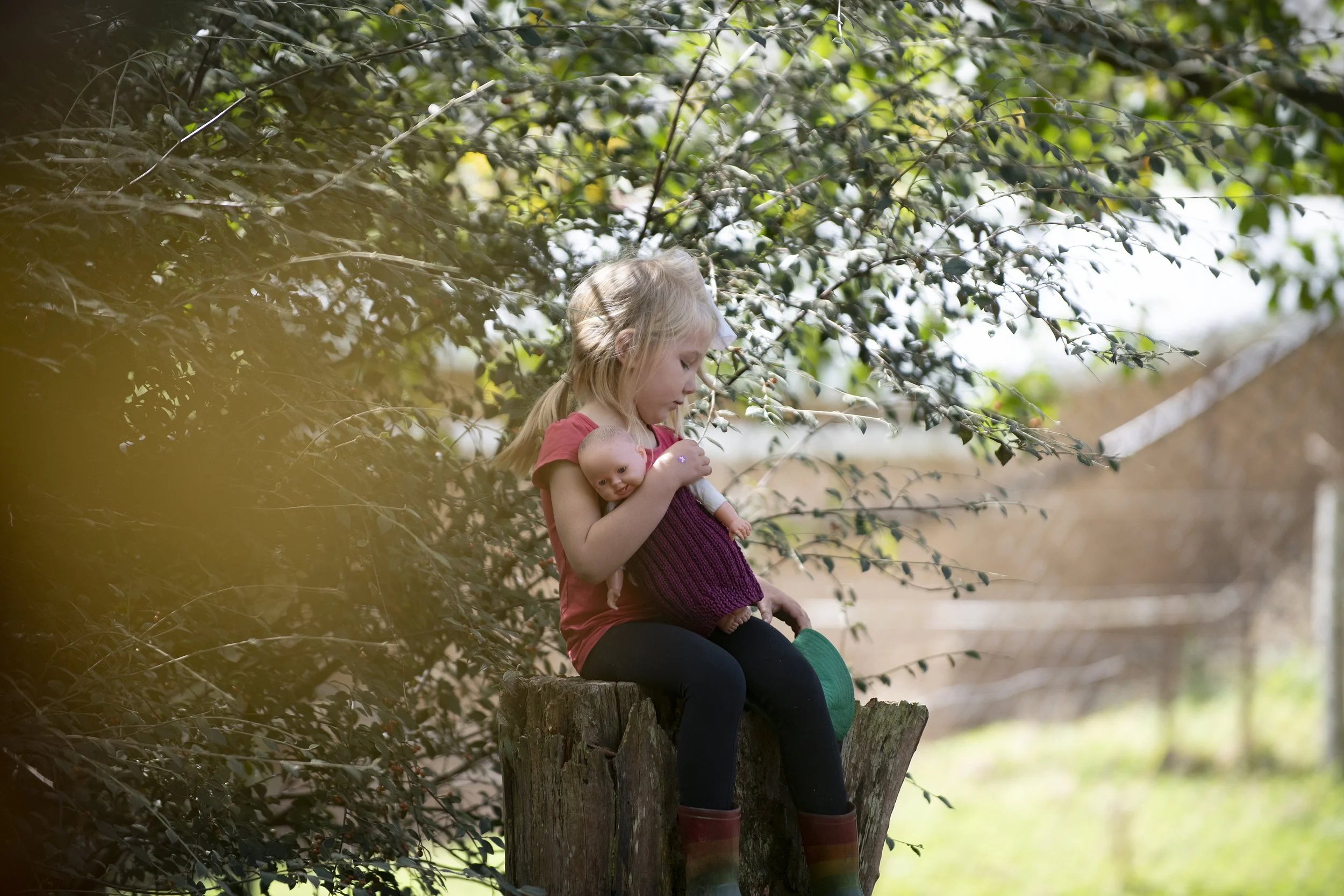D85_3188.jpg