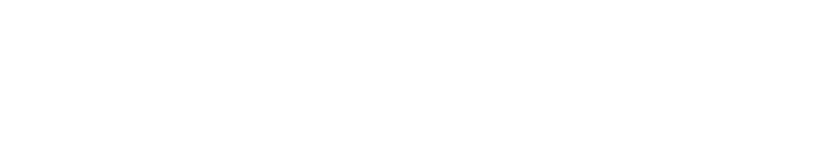 Agency Folk Logo White