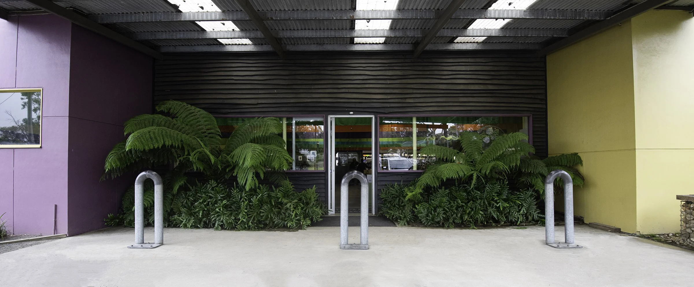 Exterior of a colorful building with purple, black, and yellow walls, large green ferns and bushes in front, glass doors, and metal bike racks.