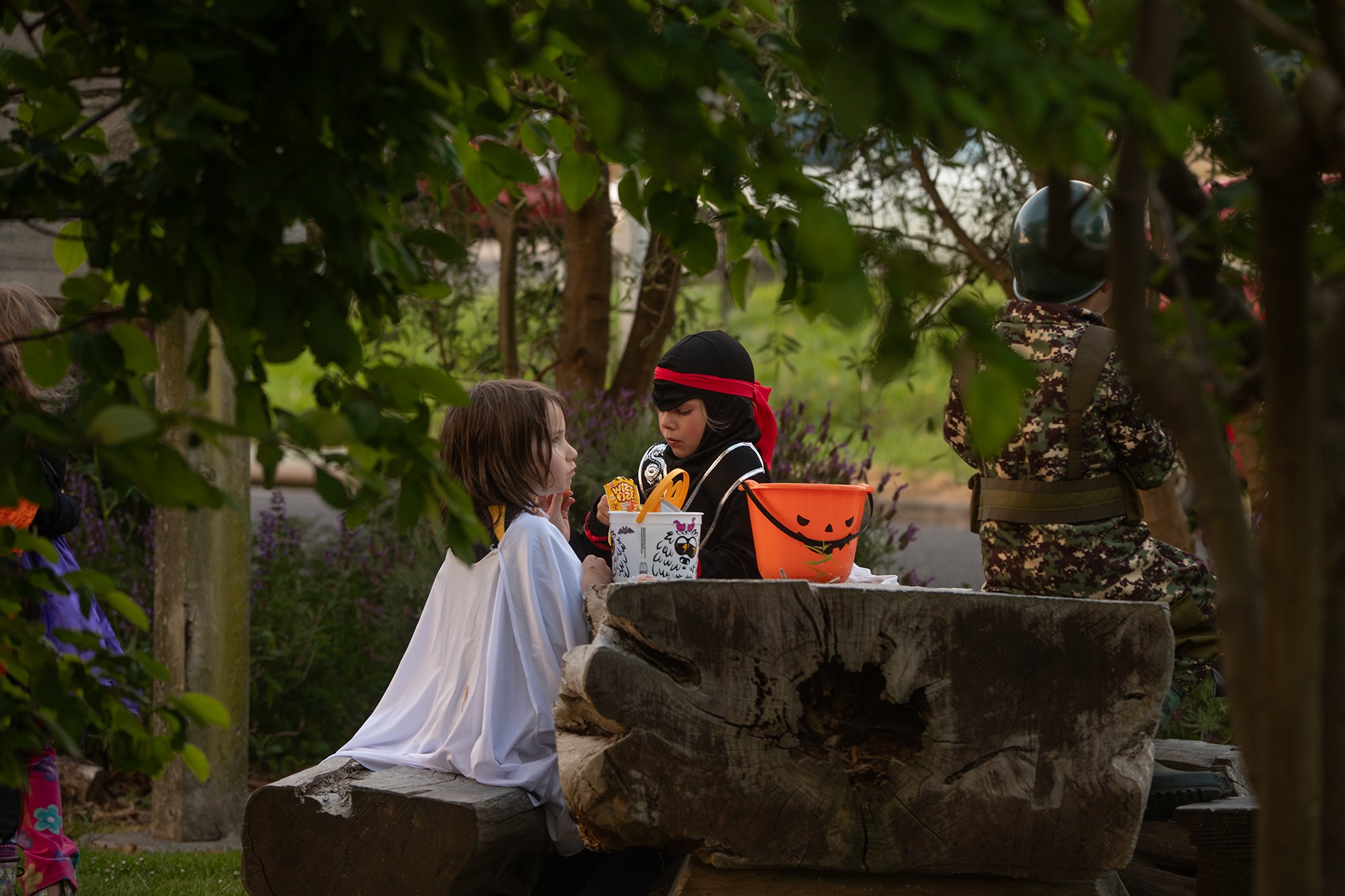 Manna Gum Halloween South Gippsland_0118lr.jpg
