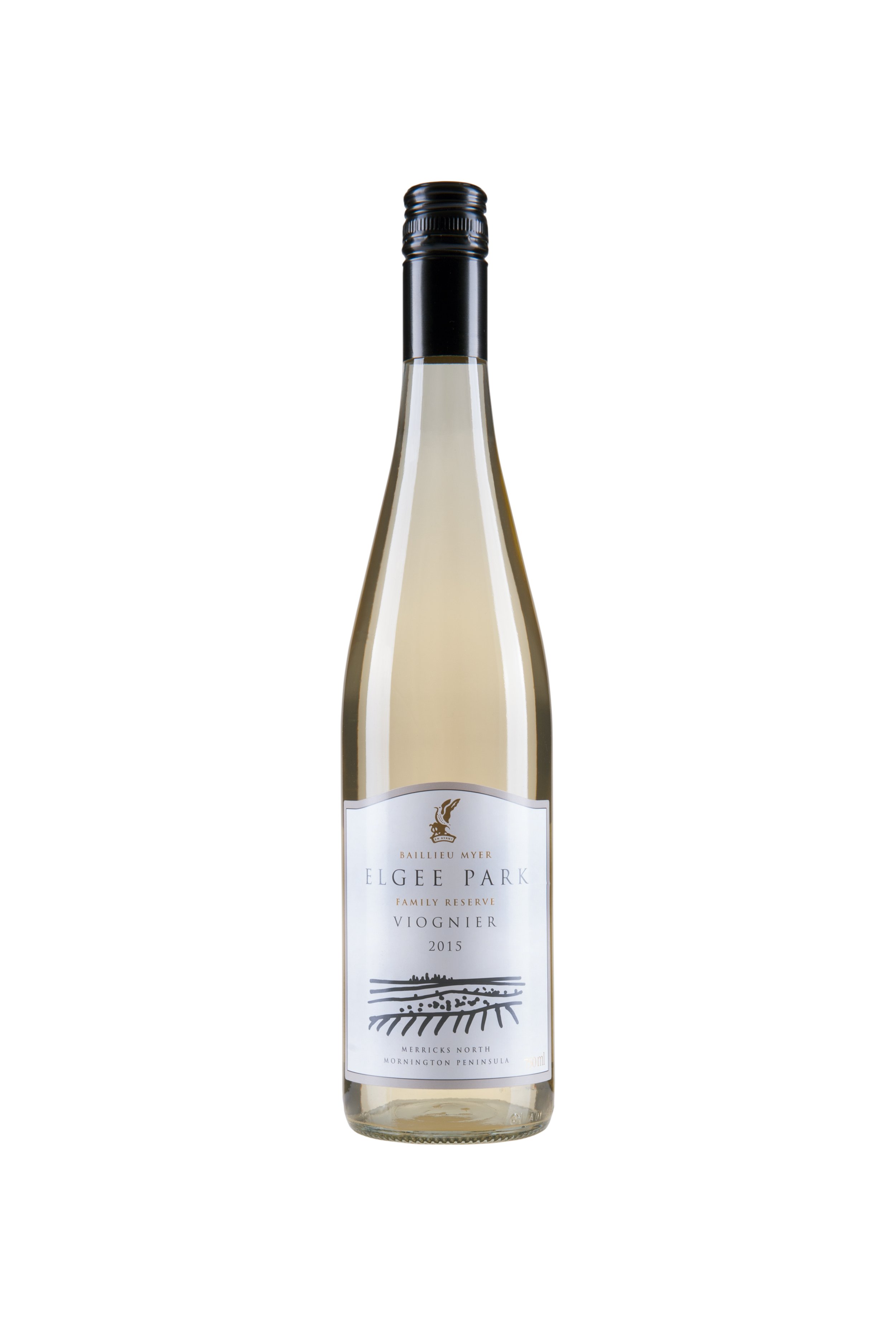 Wine Bottle with white background