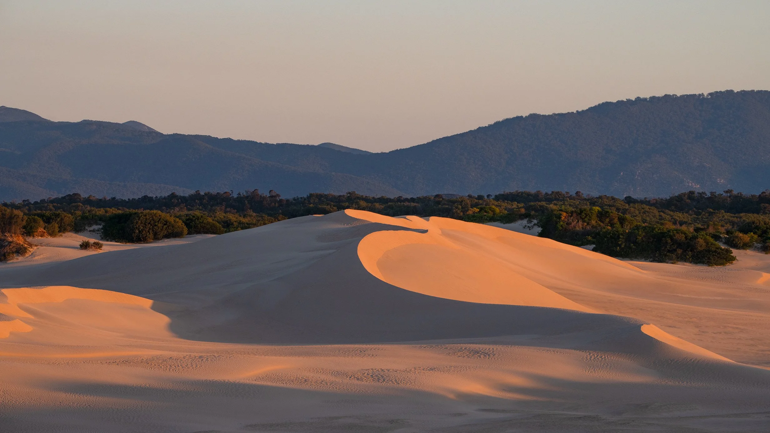 Big Drift Sand Dunes_0241lr.jpg