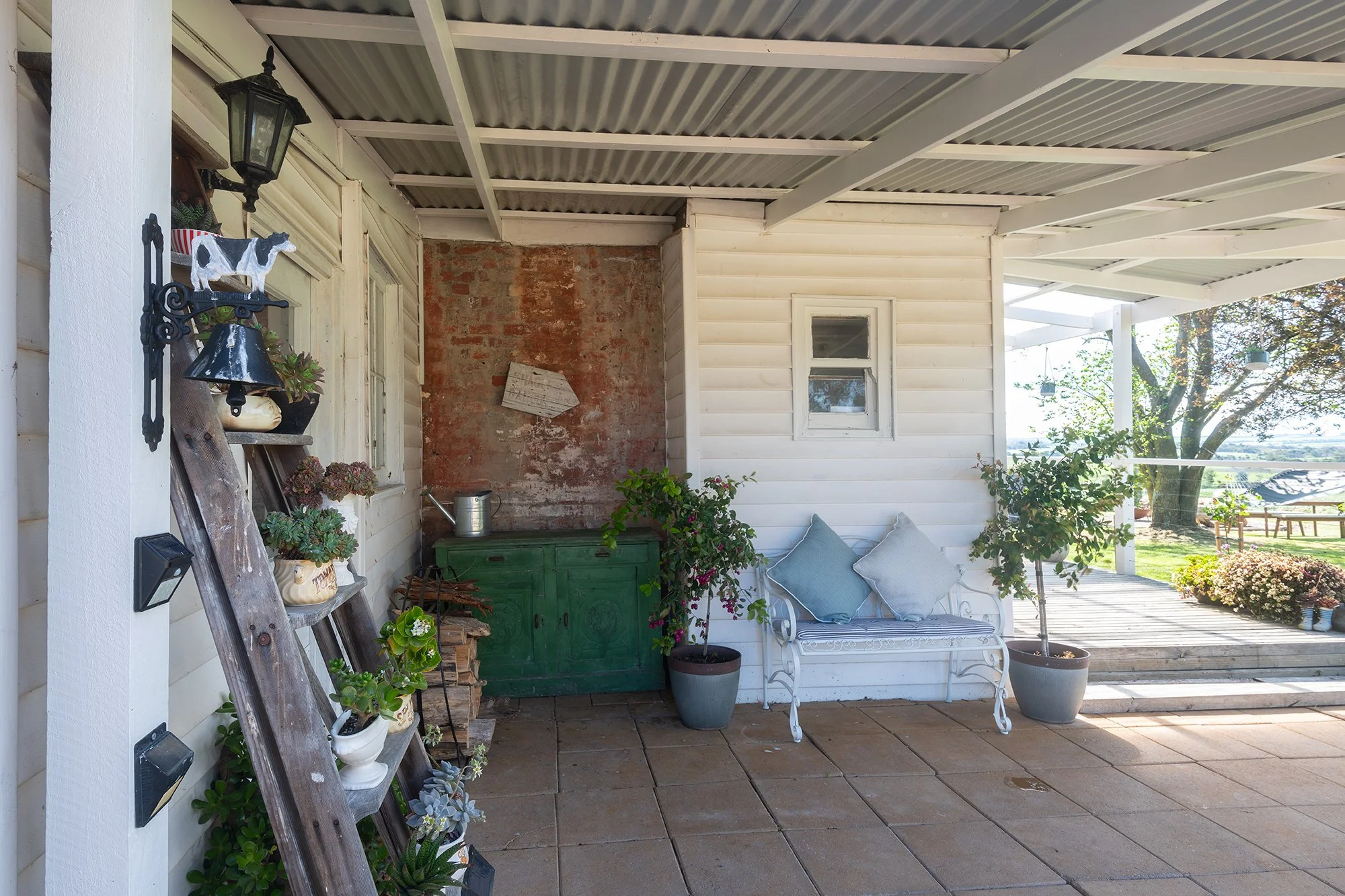 D85_6475-Edit copy.jpg