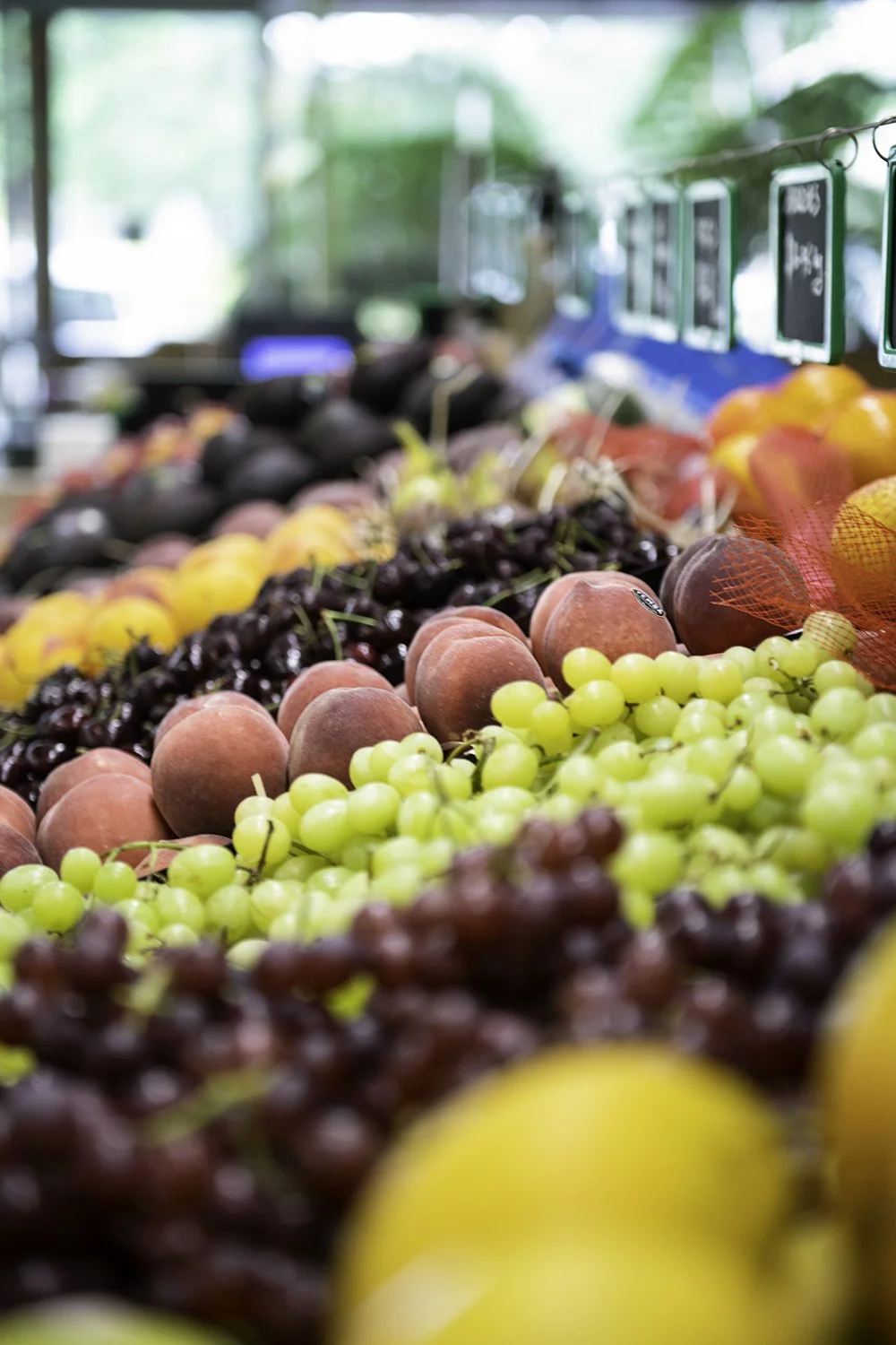 Various fresh fruits including peaches, grapes, cherries, and plums displayed at a farmer's market or orchard stand.
