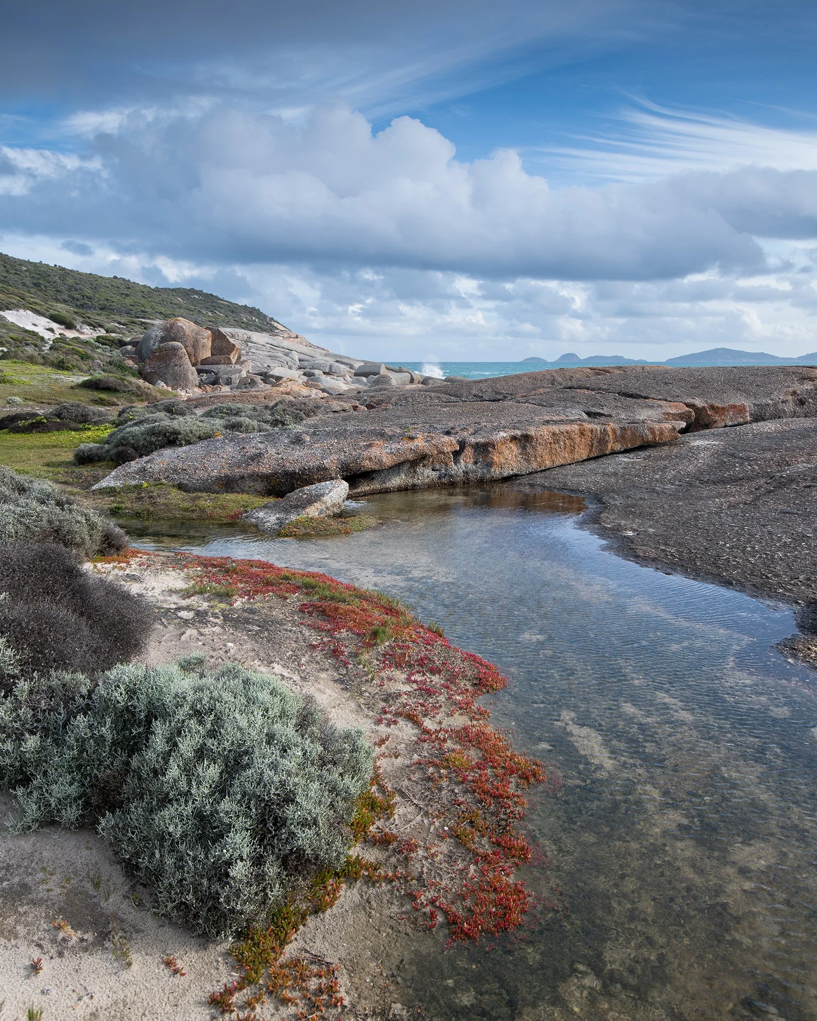 D85_4893-Edit copylr.jpg