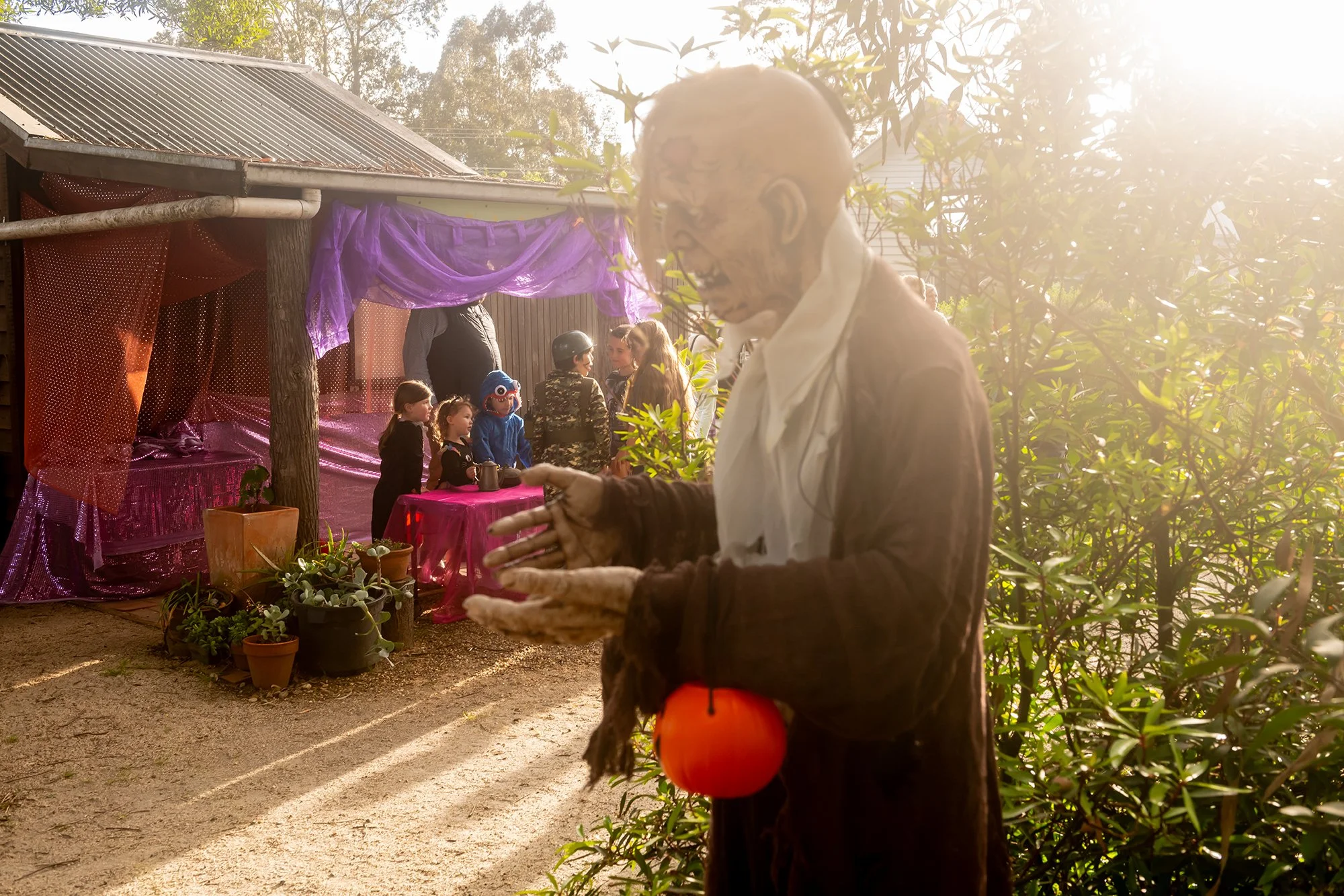 Manna Gum Halloween South Gippsland_0059lr.jpg