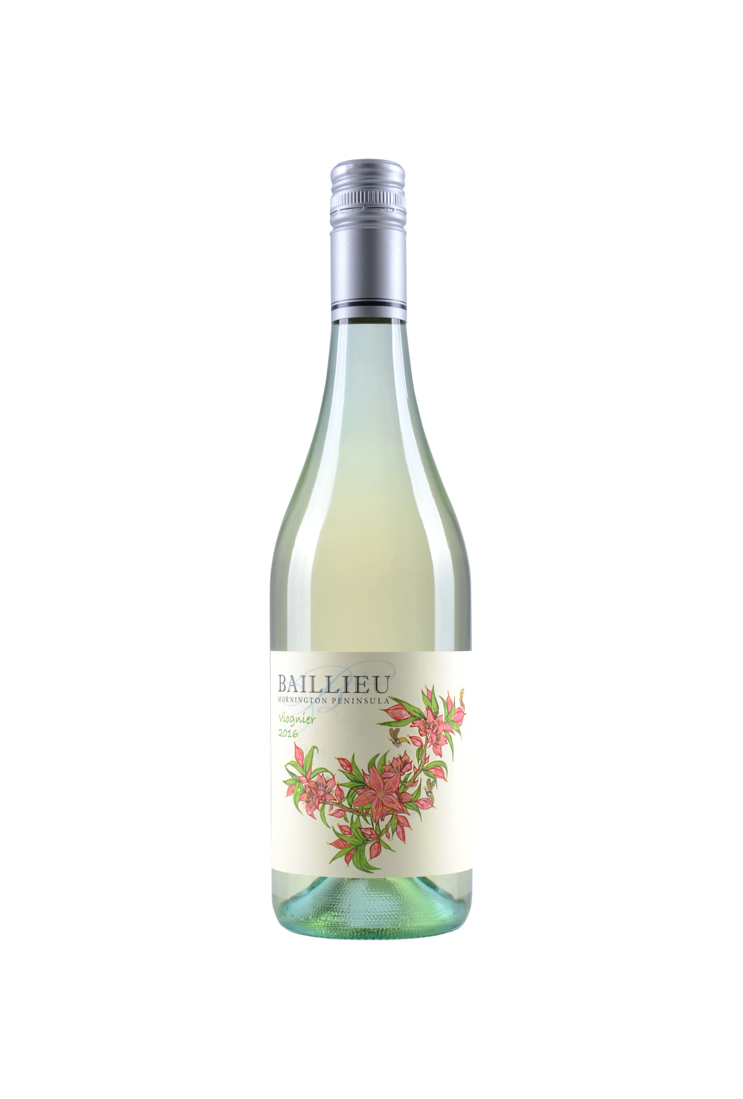 Wine Bottle with white background
