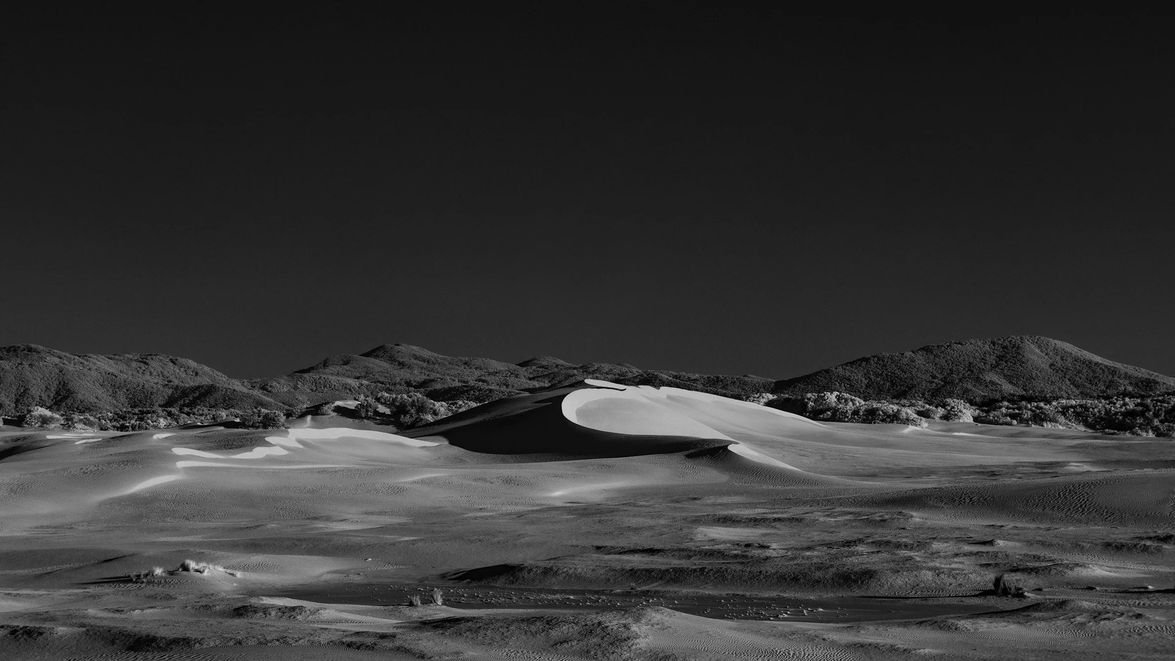 IFR_1128-Edit copylr.jpg