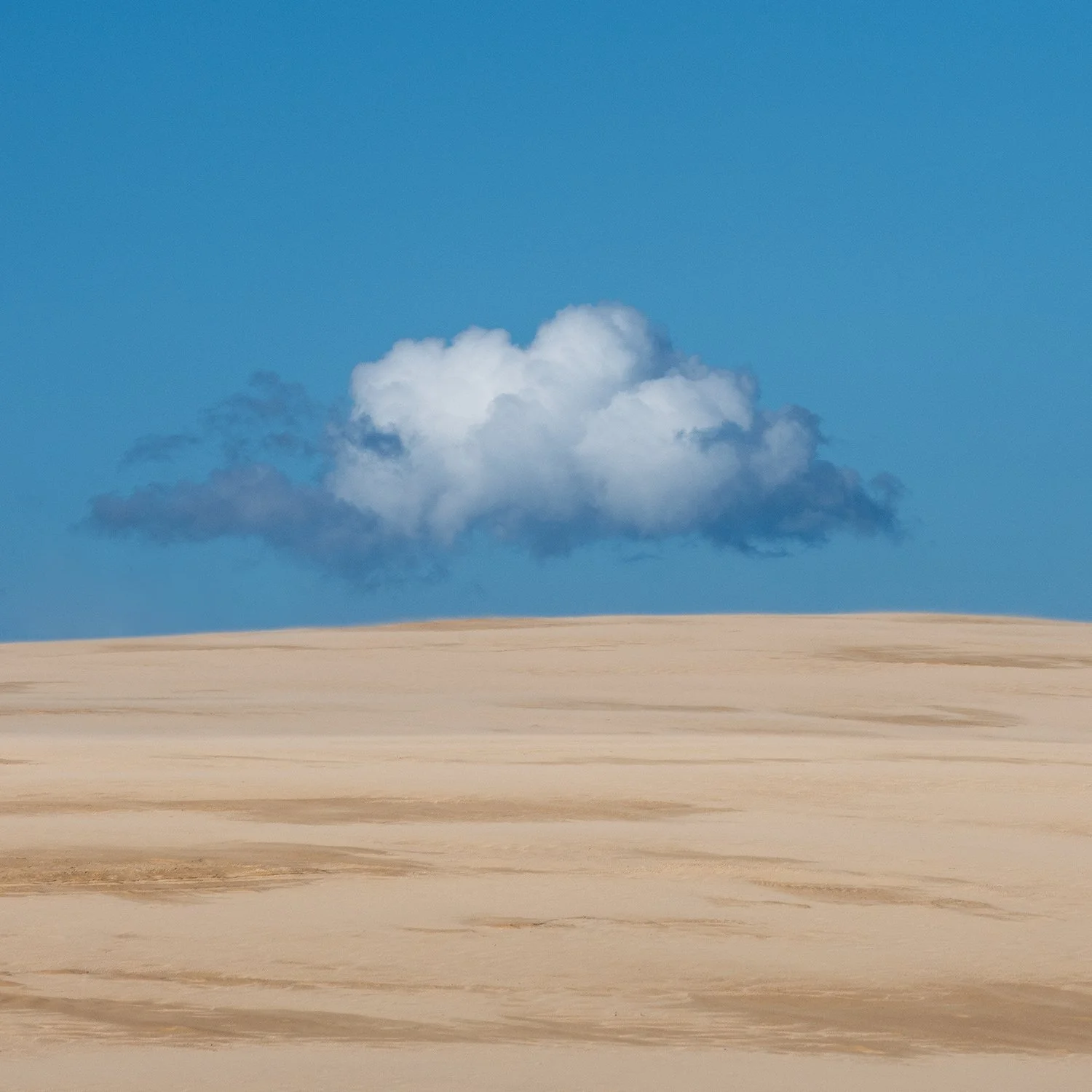 D85_2741-Edit copylr.jpg