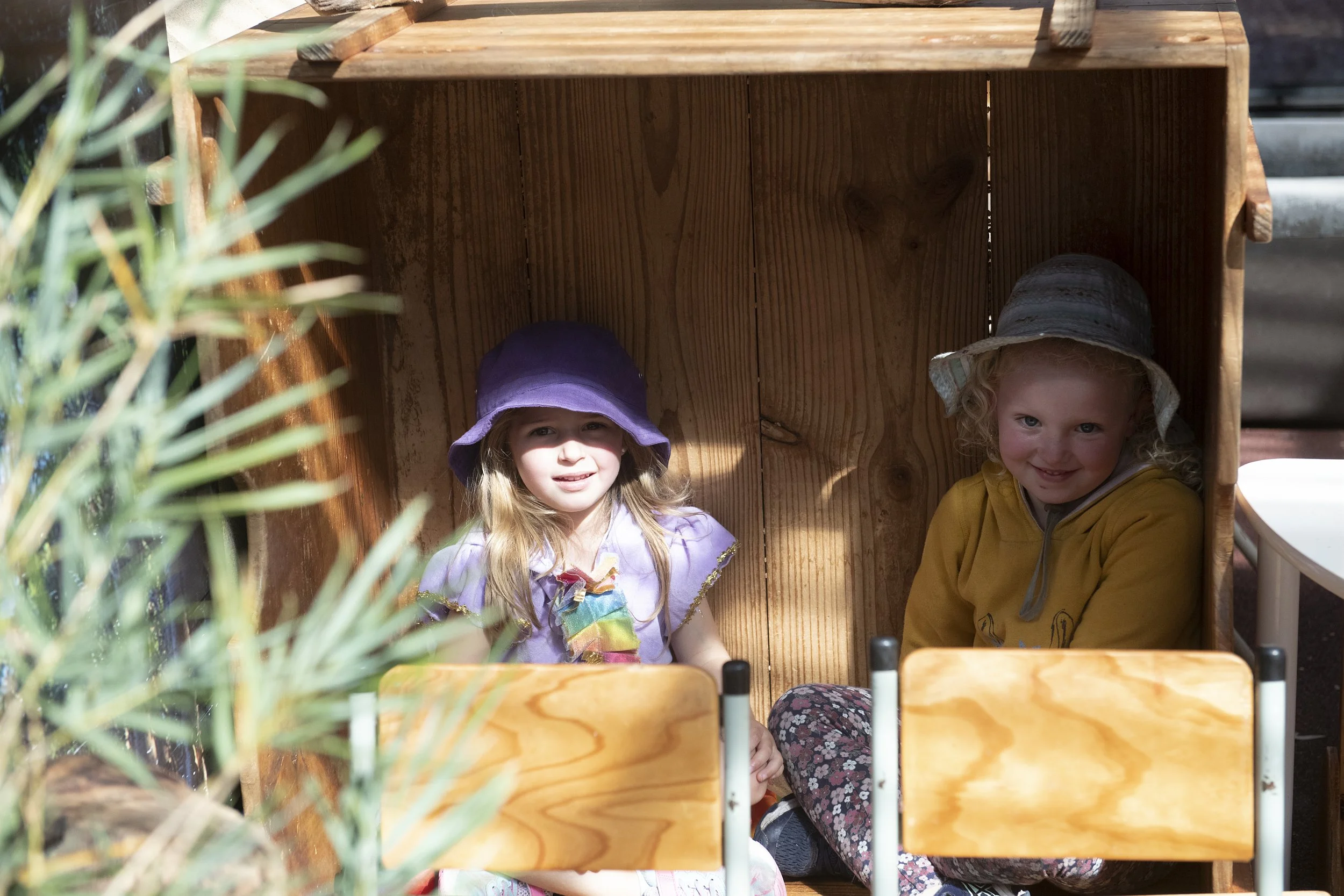 D85_3450.jpg