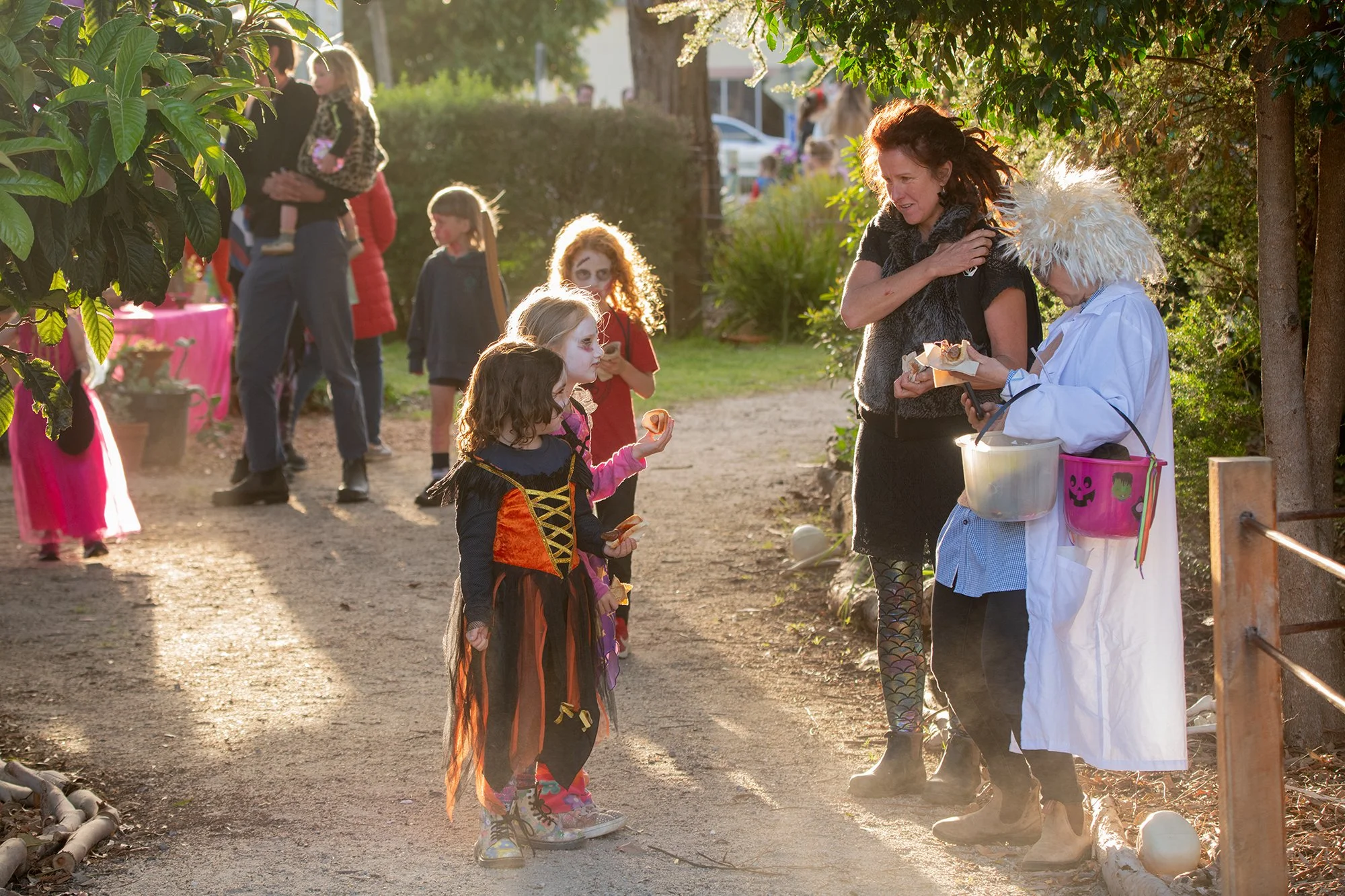 Manna Gum Halloween South Gippsland_0103lr.jpg