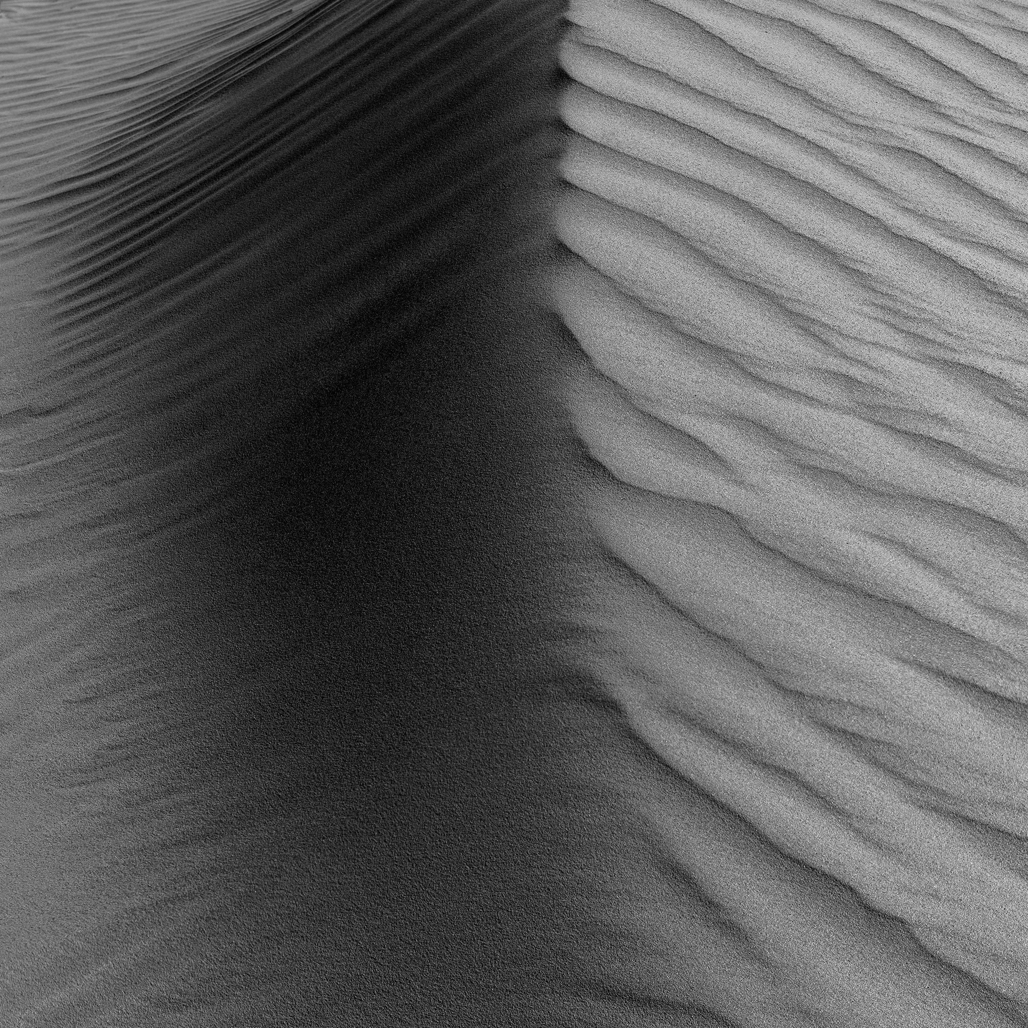 D85_2688-Edit copylr.jpg