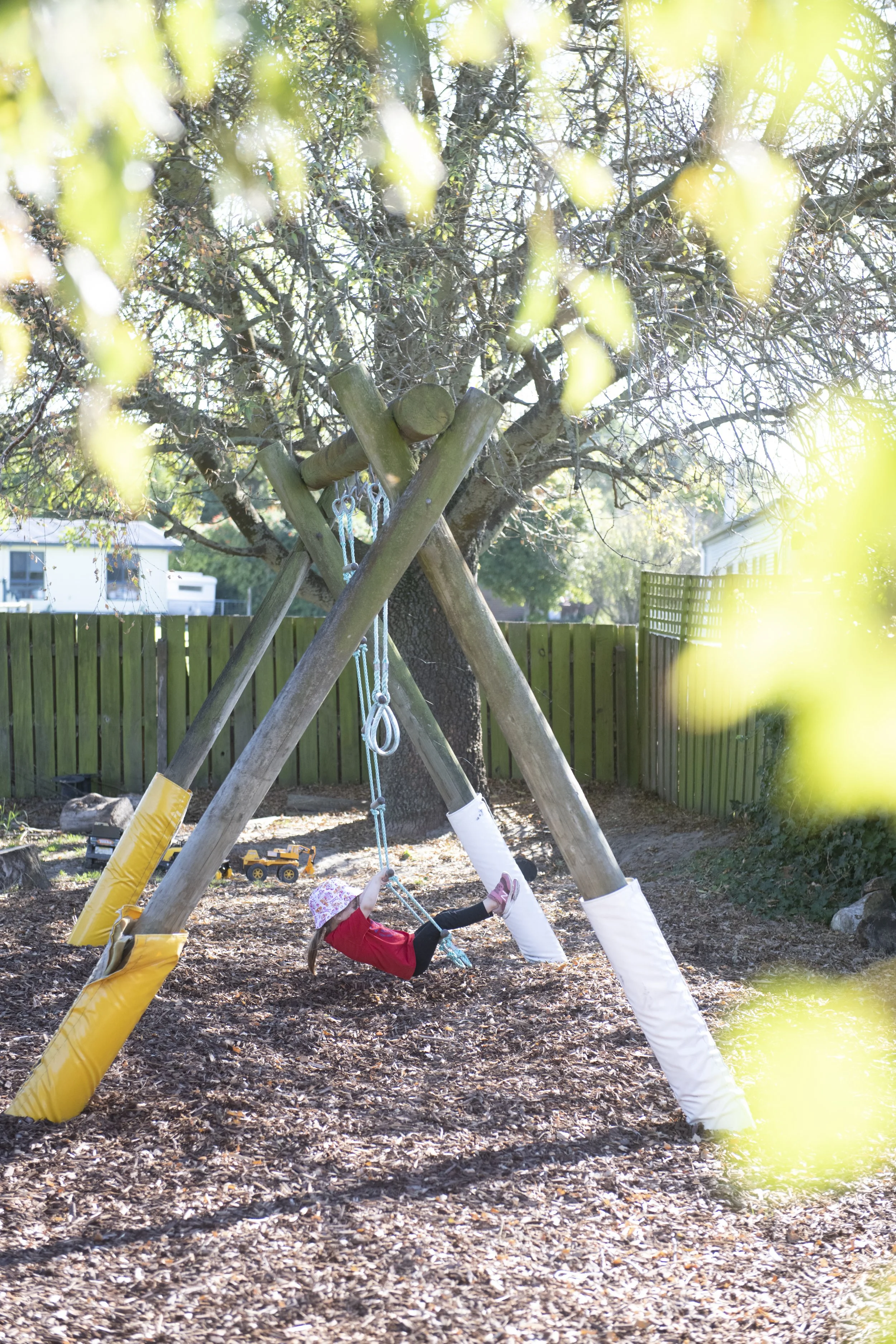 D85_3310.jpg