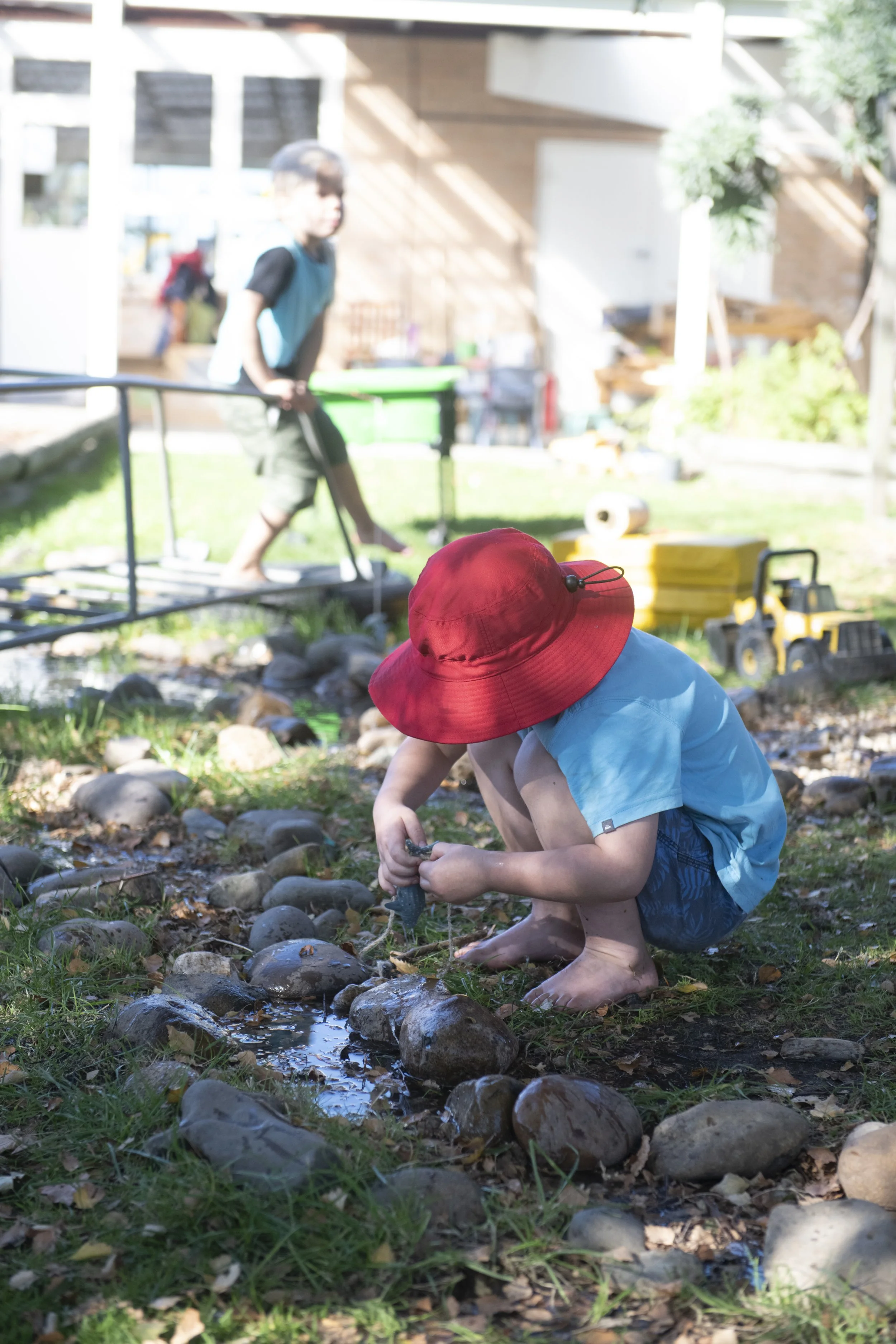 D85_3258.jpg