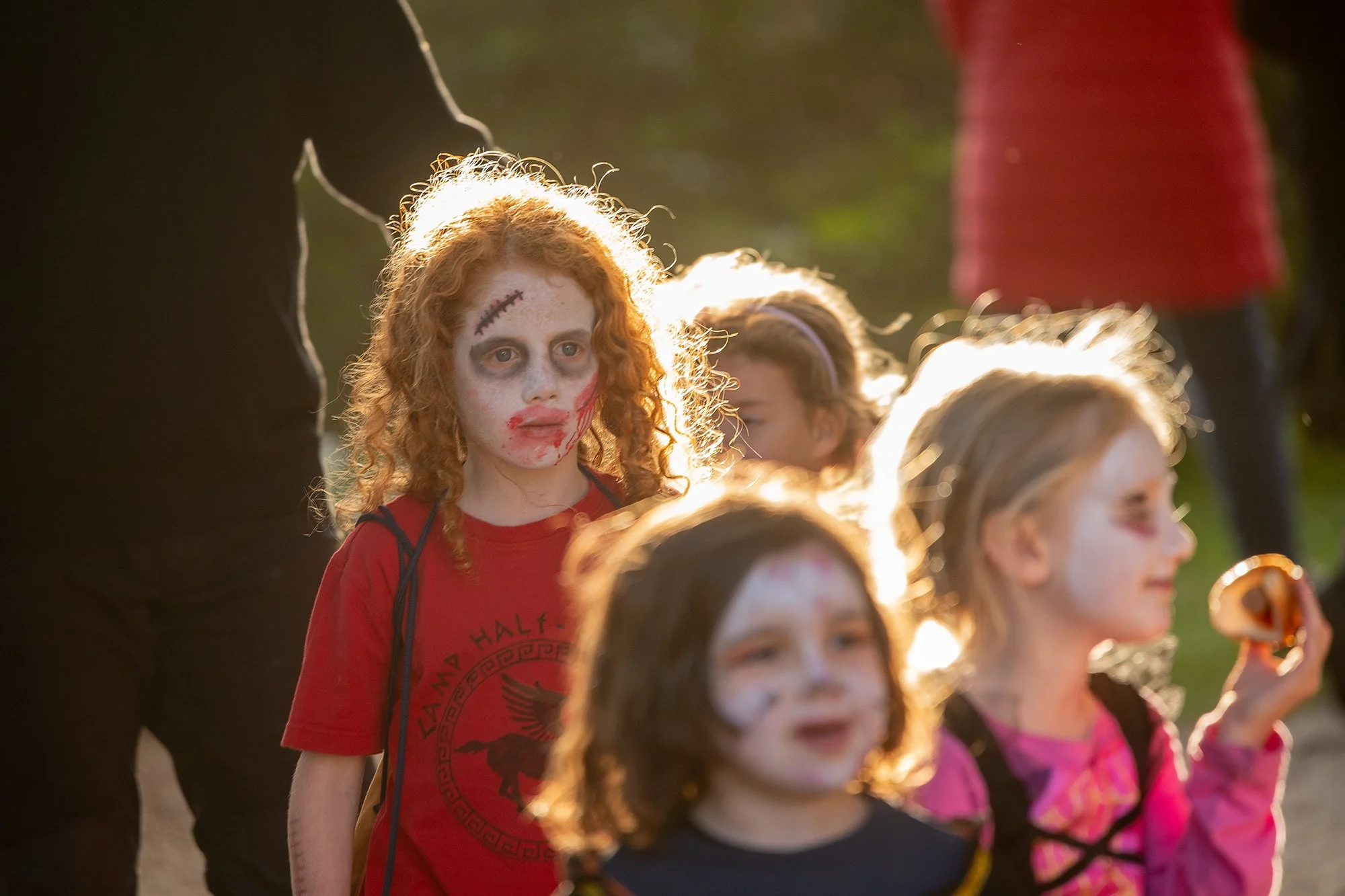 Manna Gum Halloween South Gippsland lr.jpg
