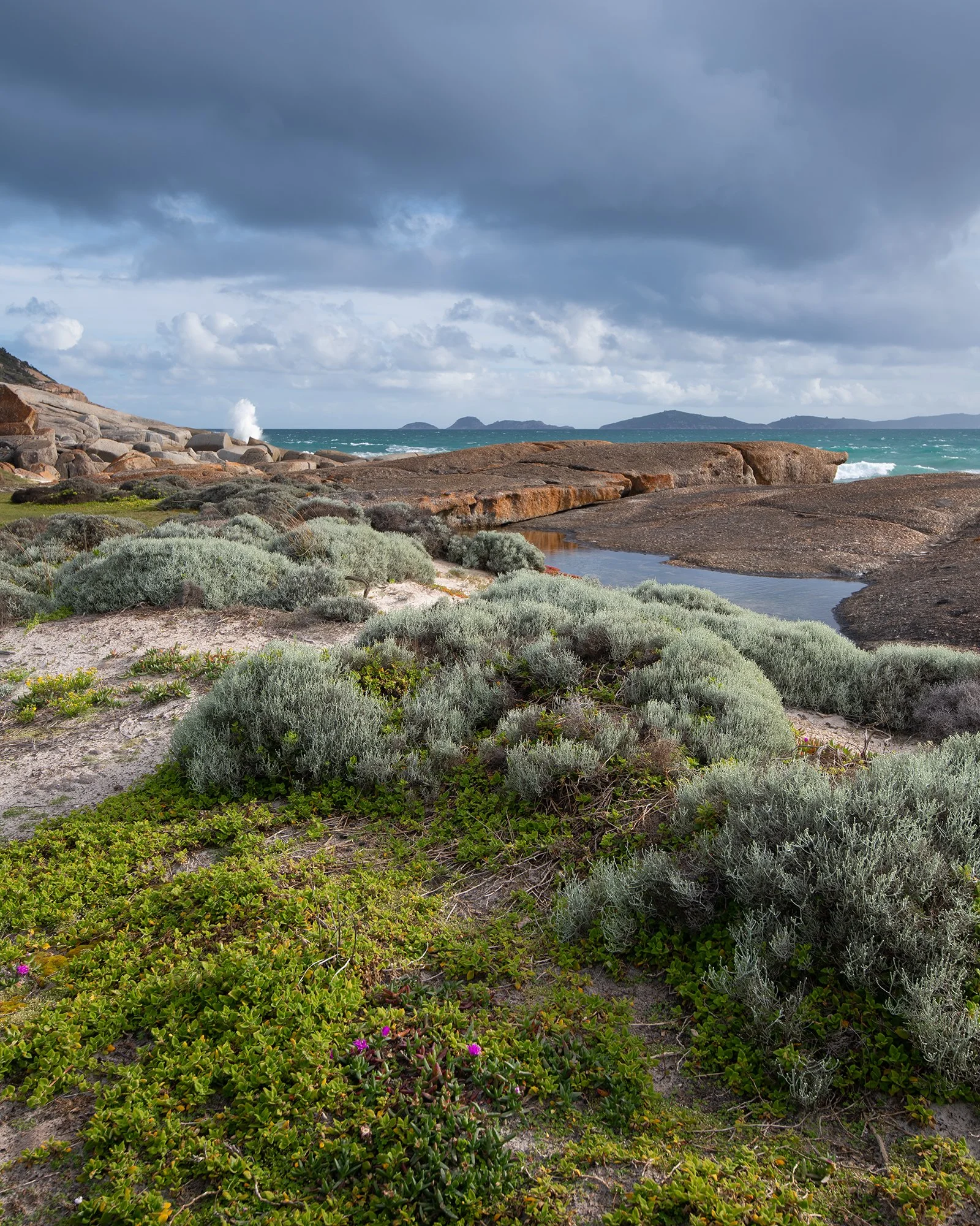 D85_4850-Edit copylr.jpg