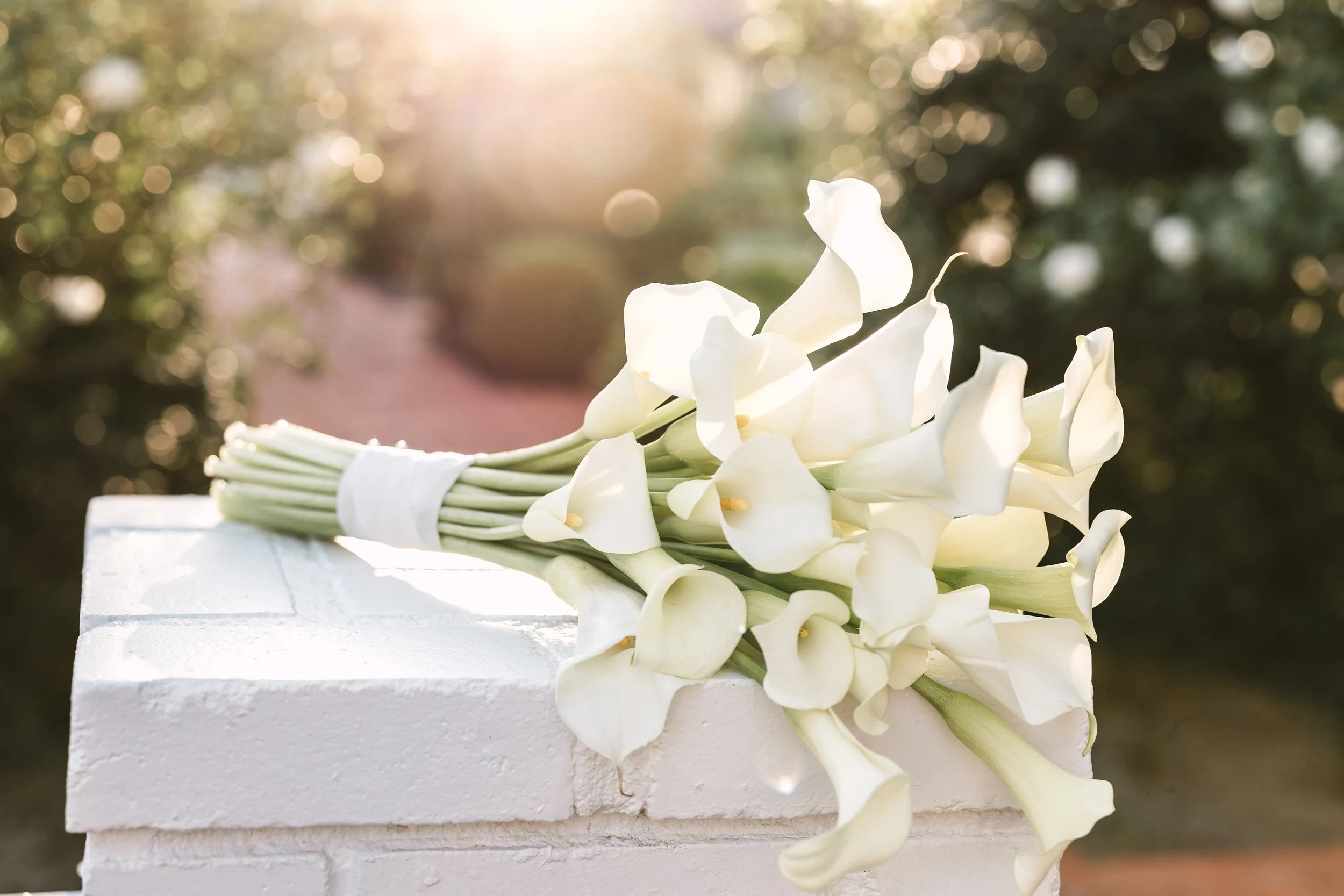 White calla lilies arranged on a white stone altar with sunlight in the background.