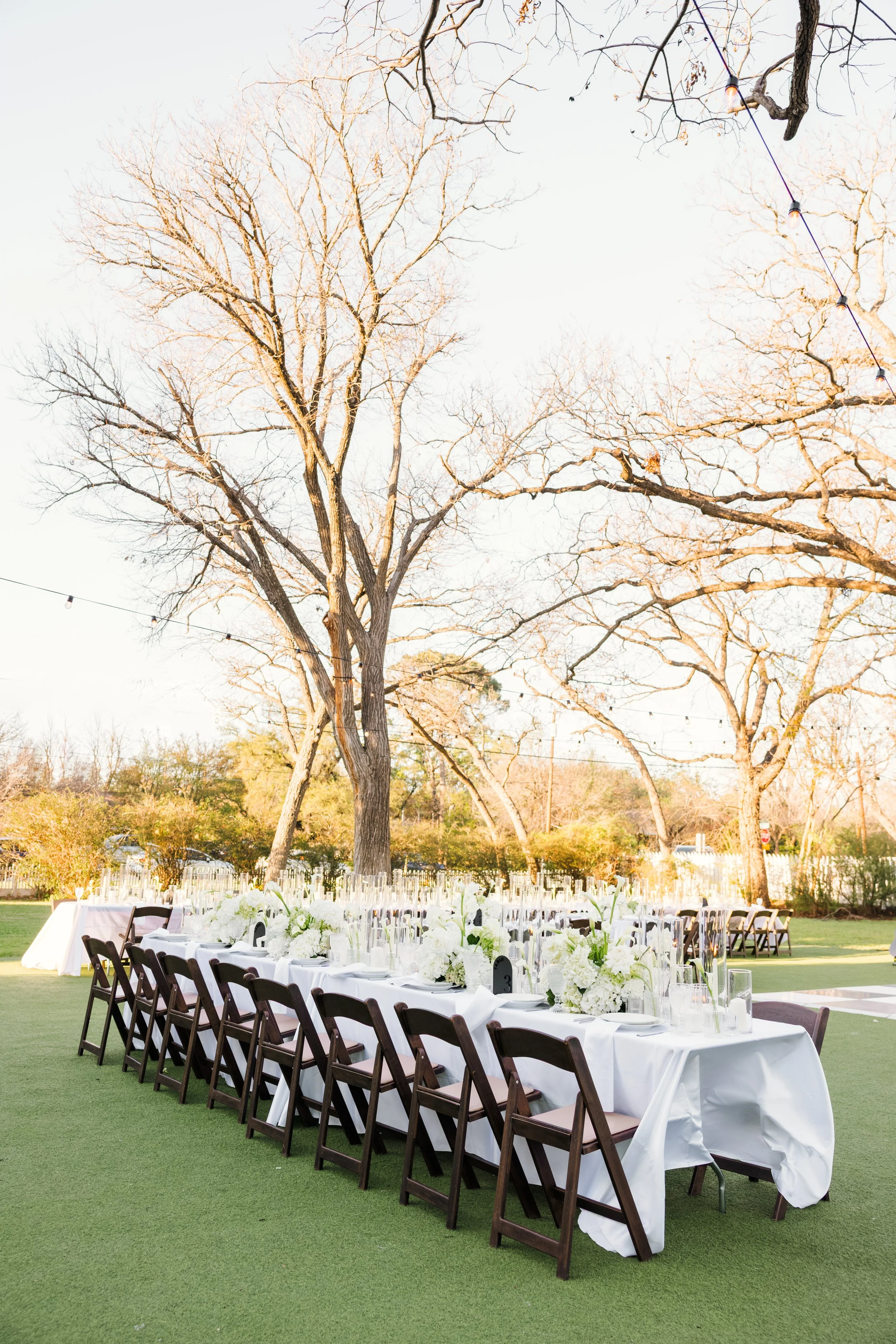 Long banquet table set outdoors on green grass, decorated with white flowers and candle holders, minutes before sunset, with large leafless trees in the background and string lights overhead, at an outdoor event or wedding reception.
