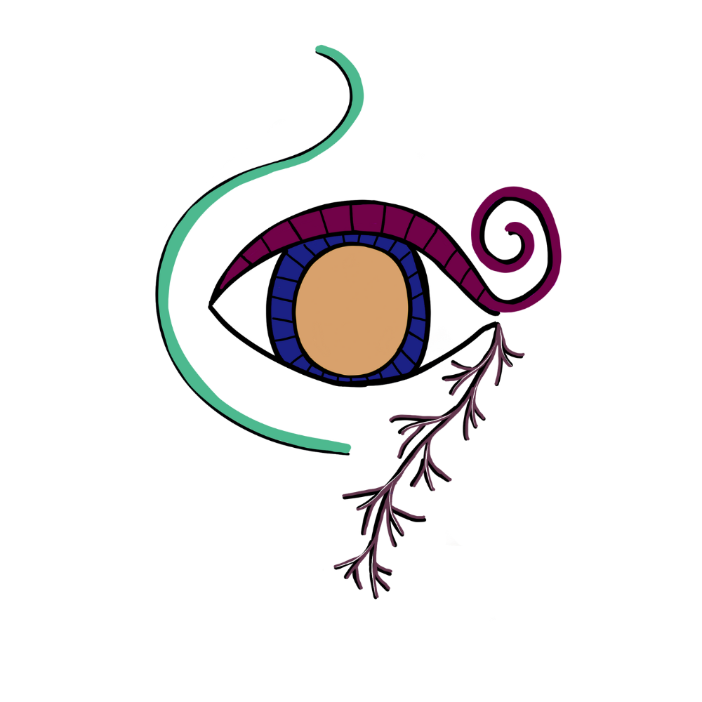 allis leigh alchemy | visions from venus