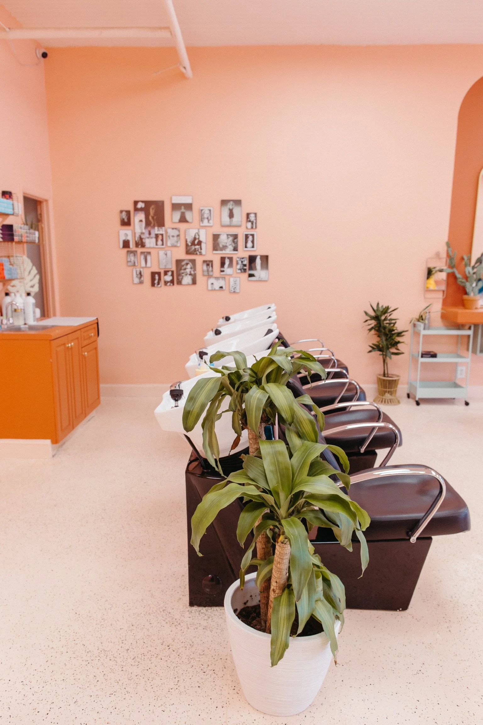 any color. any process. $220. and why your hair will thank you.